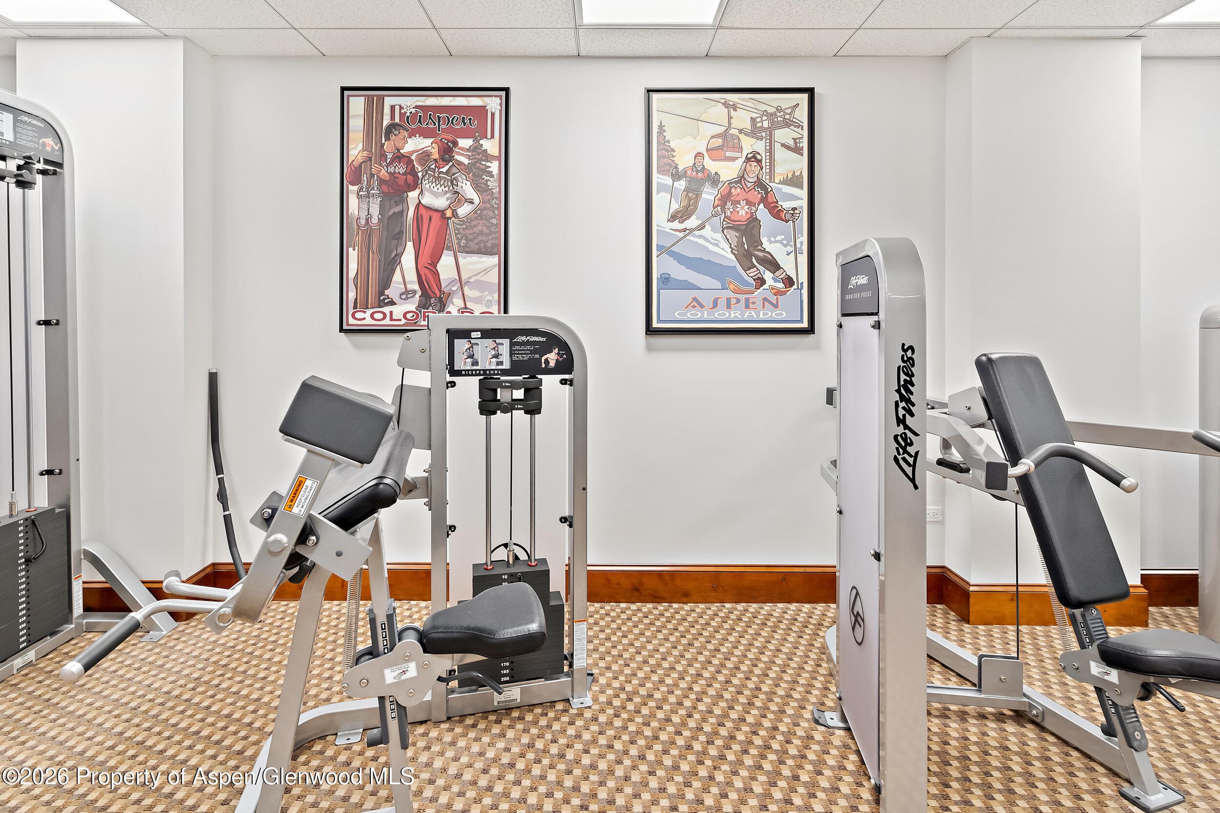 39 Boomerang Road 8210/Winter Interest 3, Aspen, CO 81611 - Photo 42