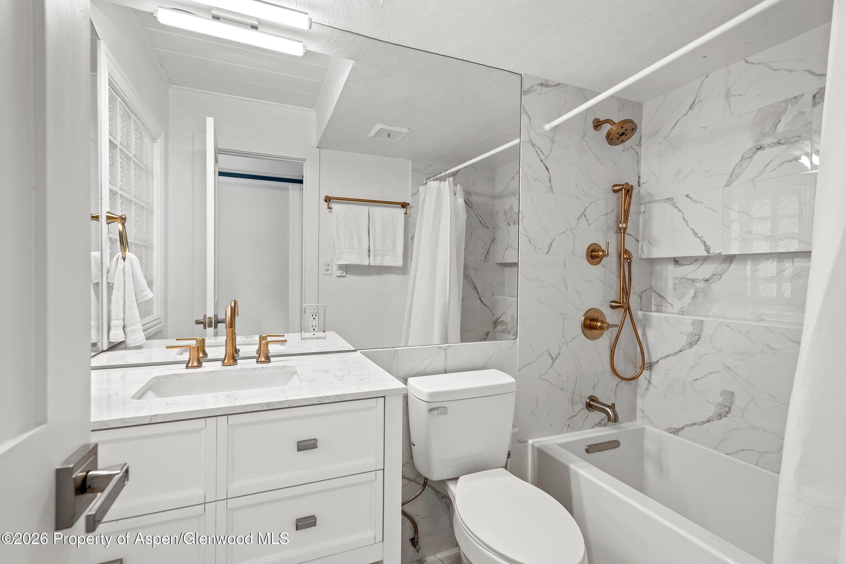 1024 E Cooper Avenue 2, Aspen, CO 81611 - Photo 22