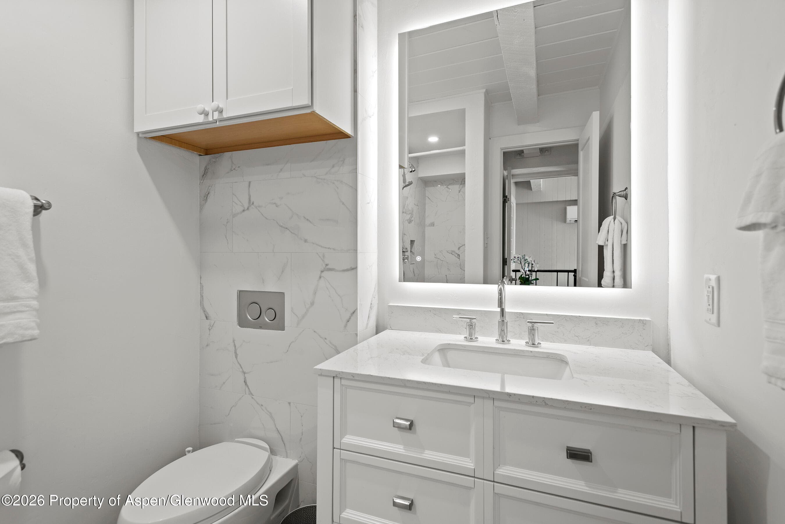1024 E Cooper Avenue 2, Aspen, CO 81611 - Photo 17