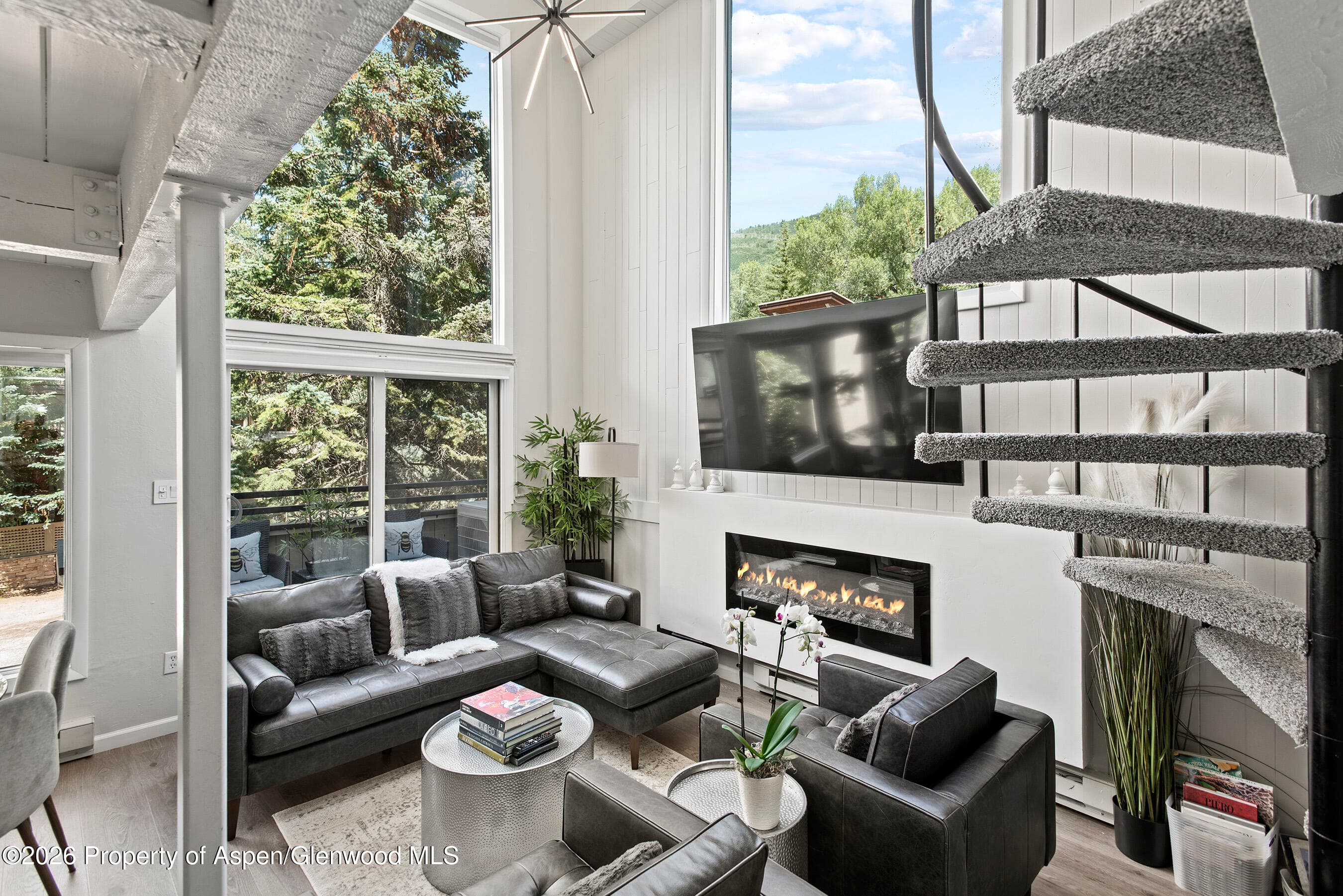 1024 E Cooper Avenue 2, Aspen, CO 81611 - Photo 4