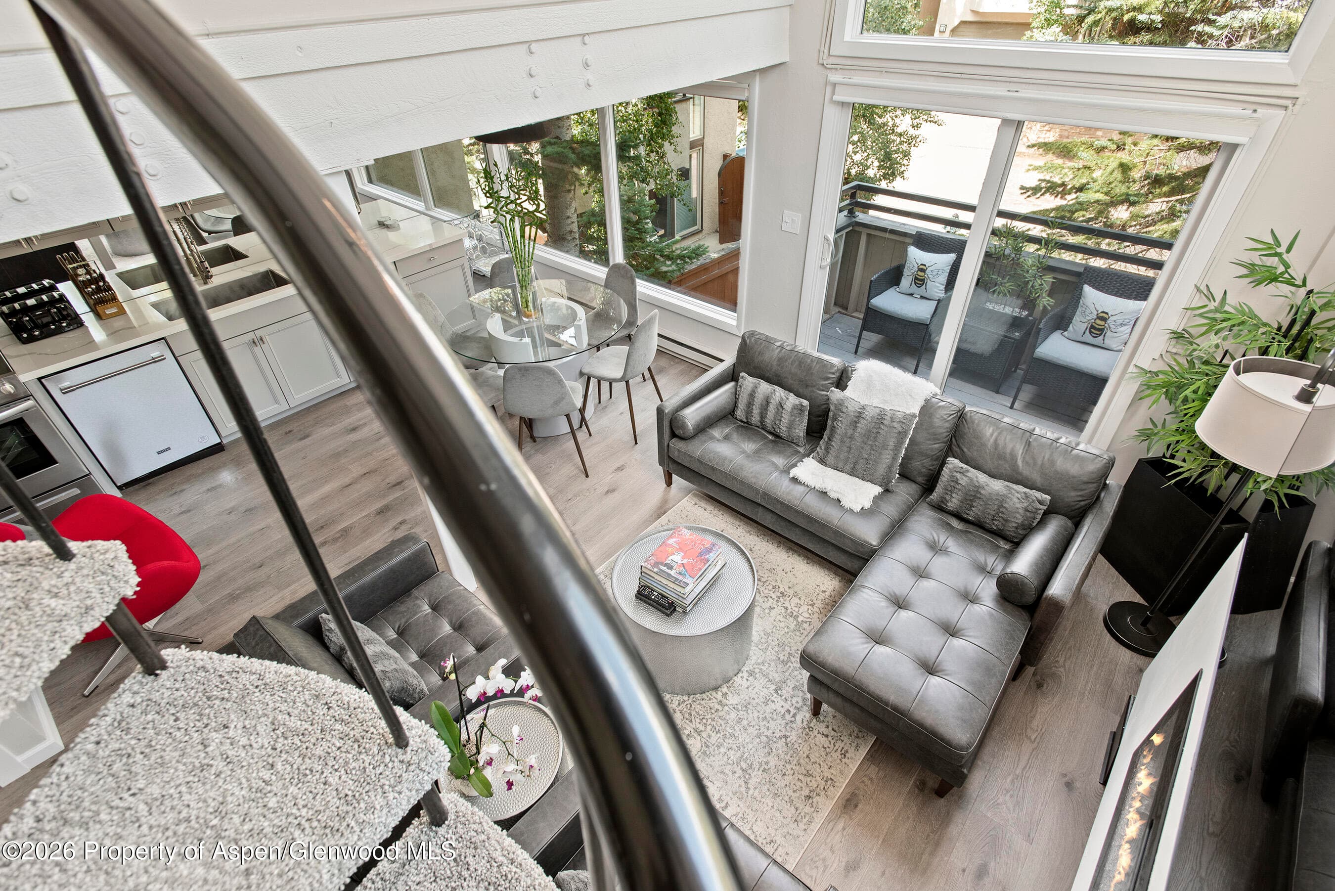 1024 E Cooper Avenue 2, Aspen, CO 81611 - Photo 15