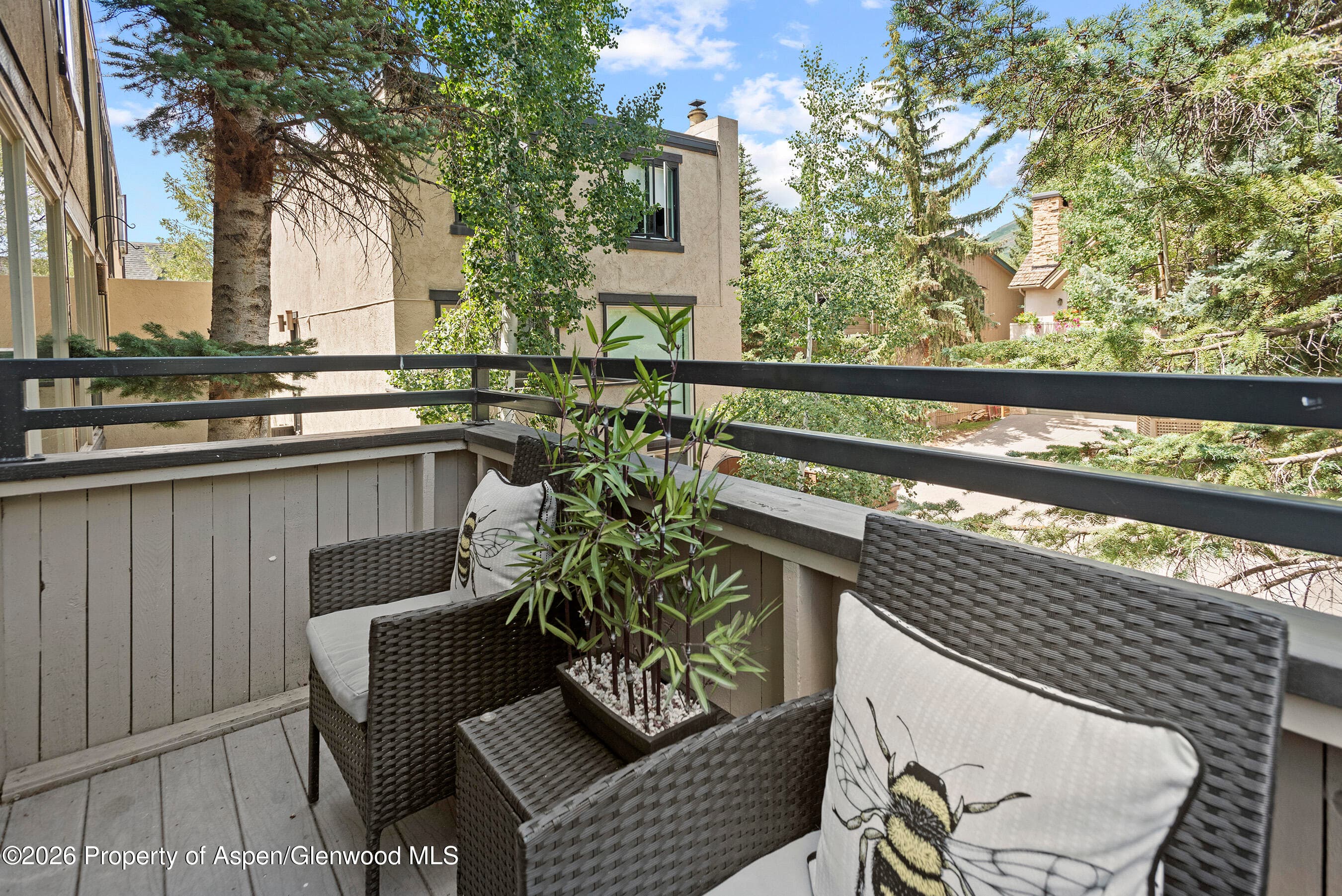 1024 E Cooper Avenue 2, Aspen, CO 81611 - Photo 25