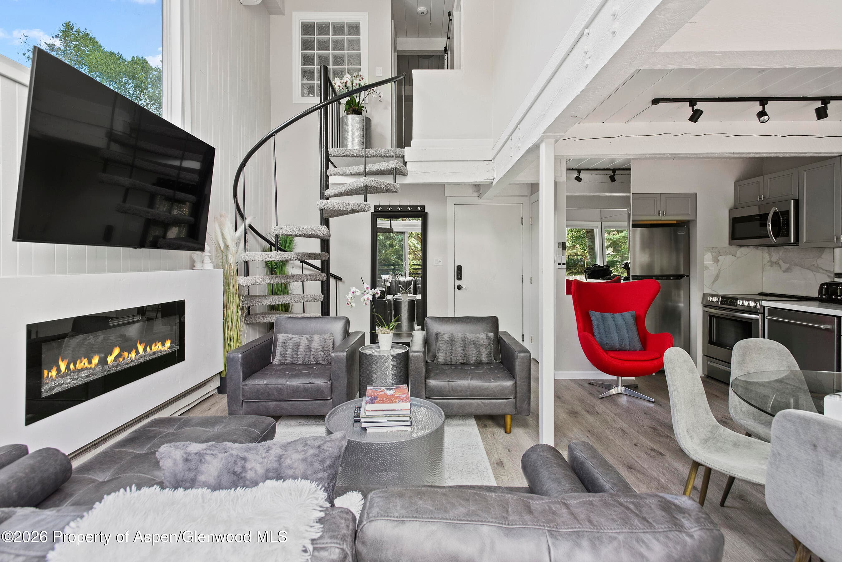1024 E Cooper Avenue 2, Aspen, CO 81611 - Photo 2