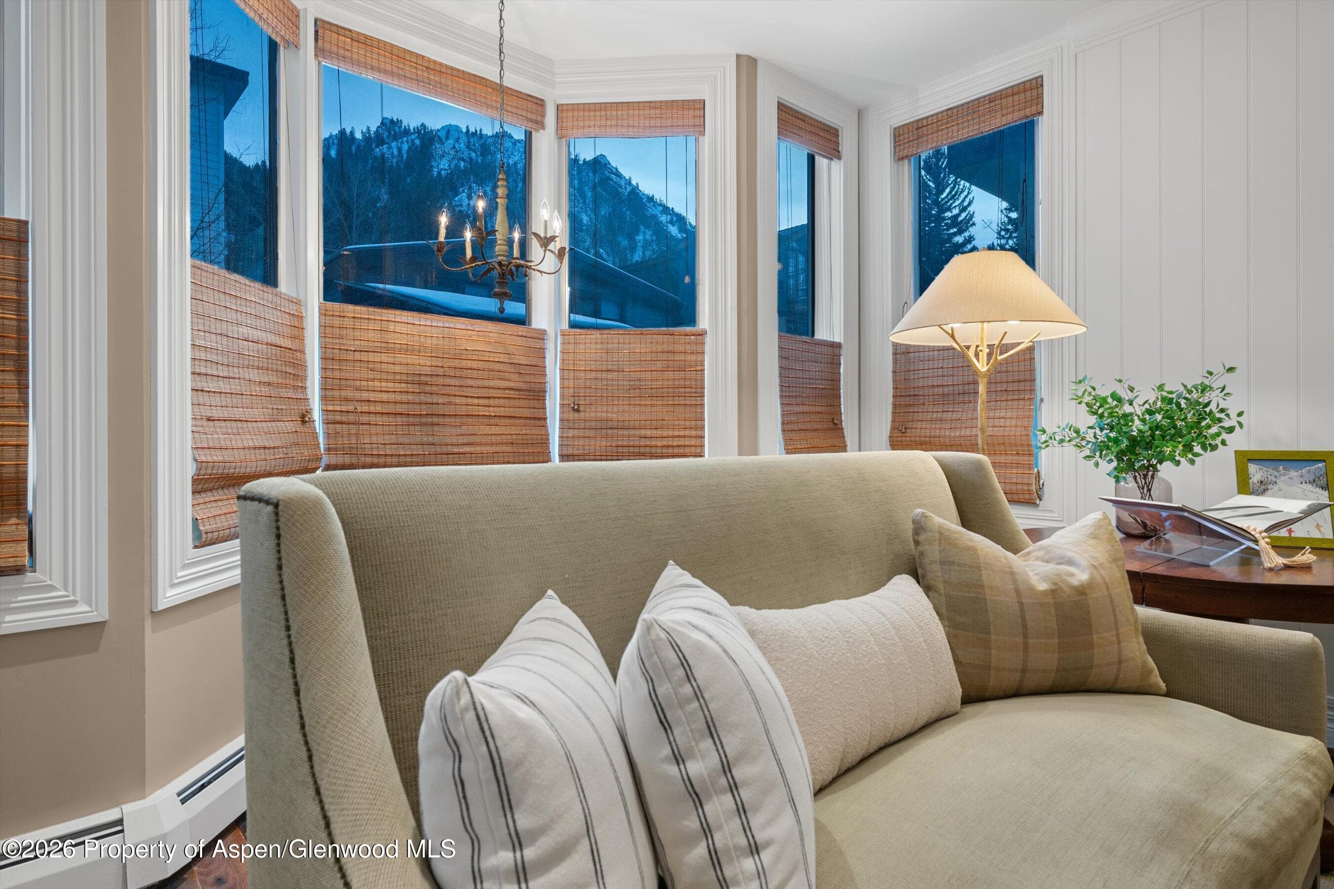215 W Bleeker Street, Aspen, CO 81611 - Photo 13