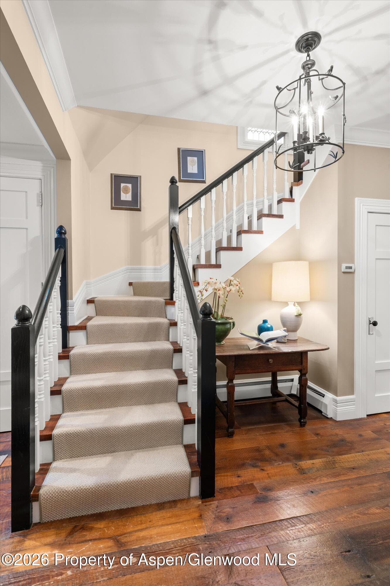 215 W Bleeker Street, Aspen, CO 81611 - Photo 20