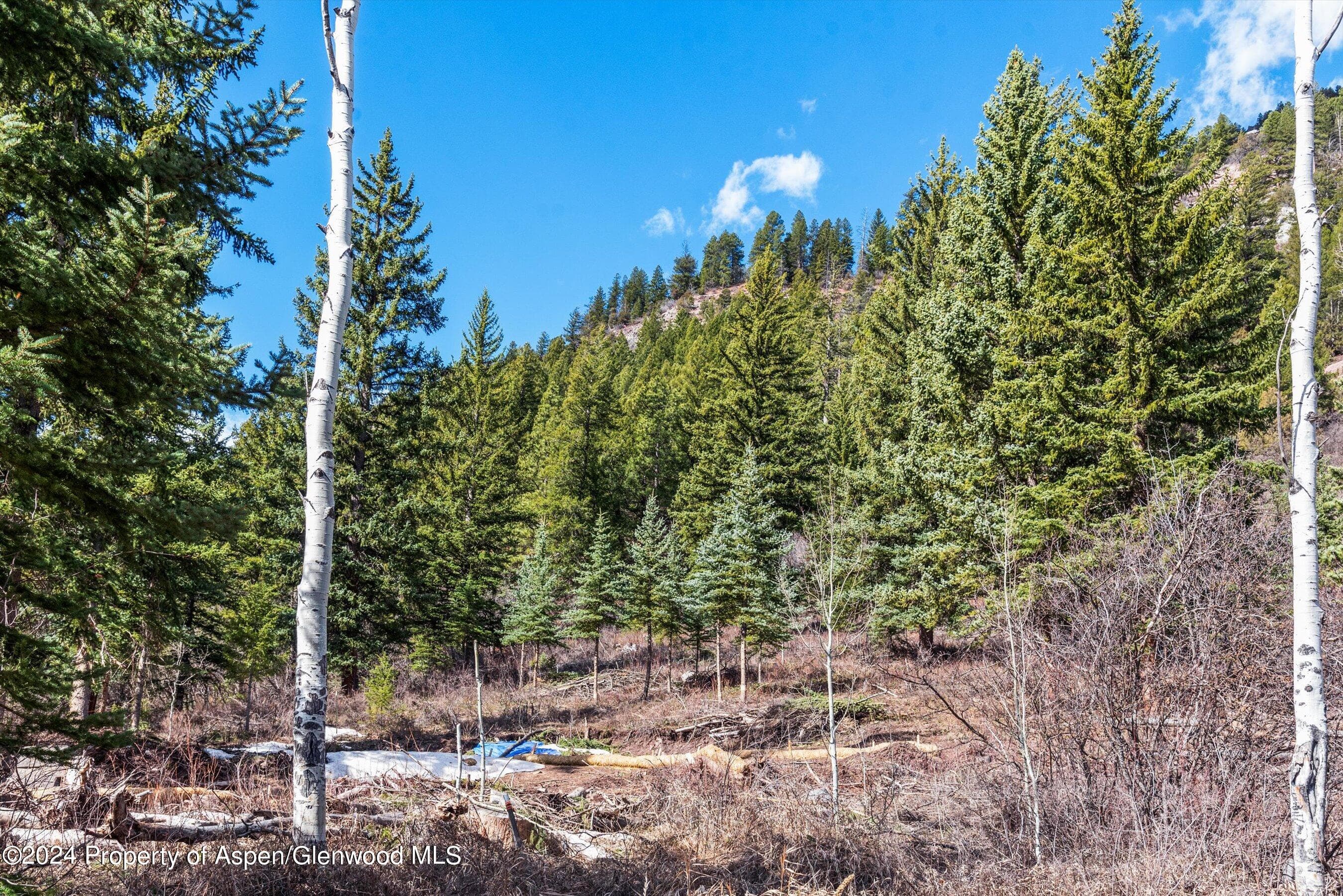 Tbd Elk Mountain Dr Drive, Redstone, CO 81623 - Photo 9