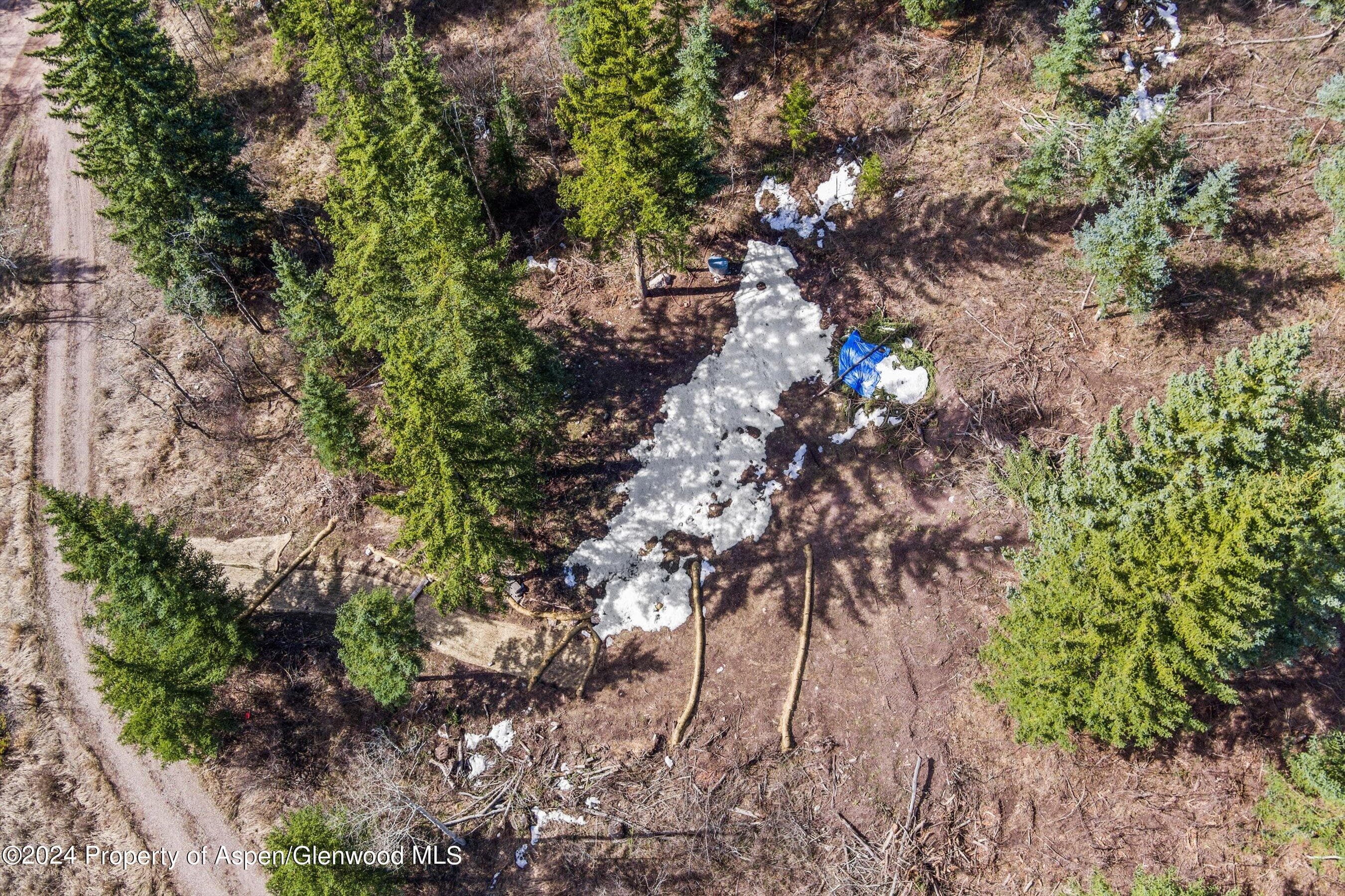 Tbd Elk Mountain Dr Drive, Redstone, CO 81623 - Photo 13