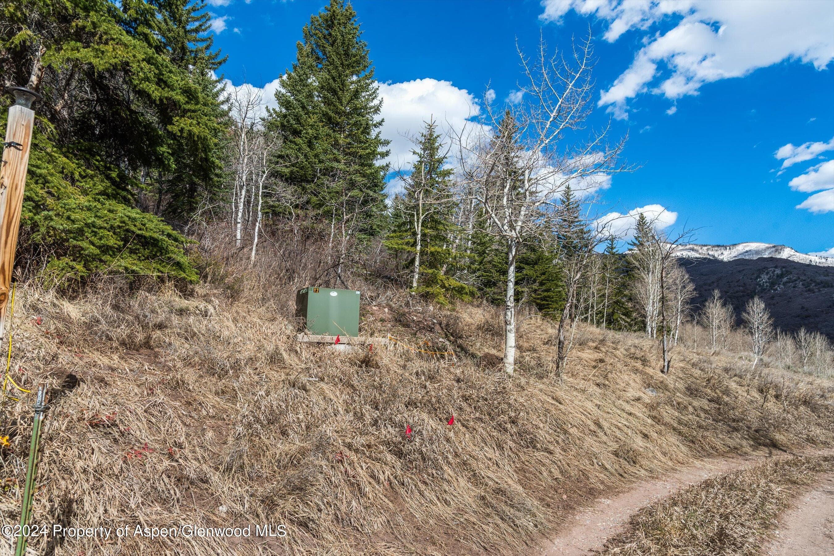 Tbd Elk Mountain Dr Drive, Redstone, CO 81623 - Photo 18