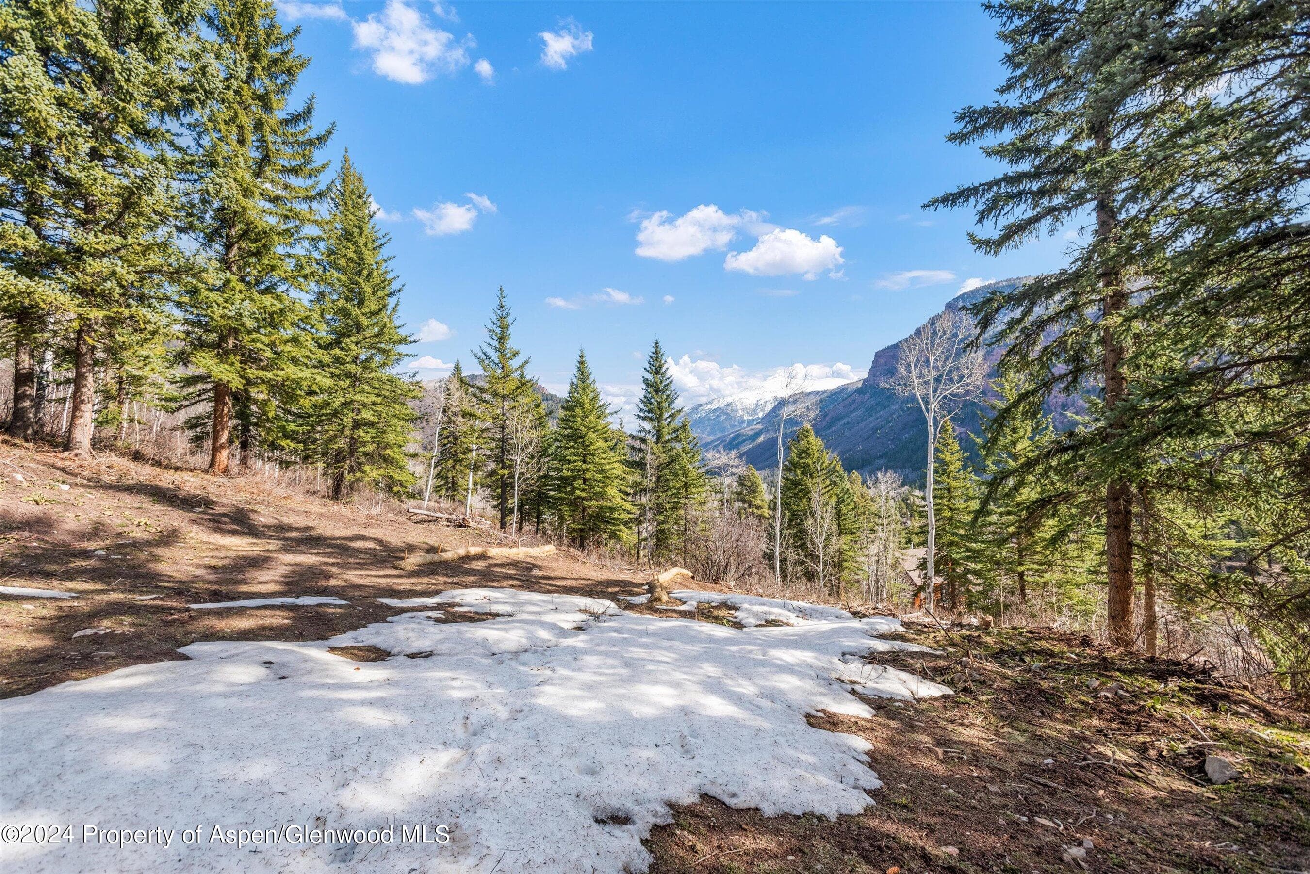 Tbd Elk Mountain Dr Drive, Redstone, CO 81623 - Photo 19