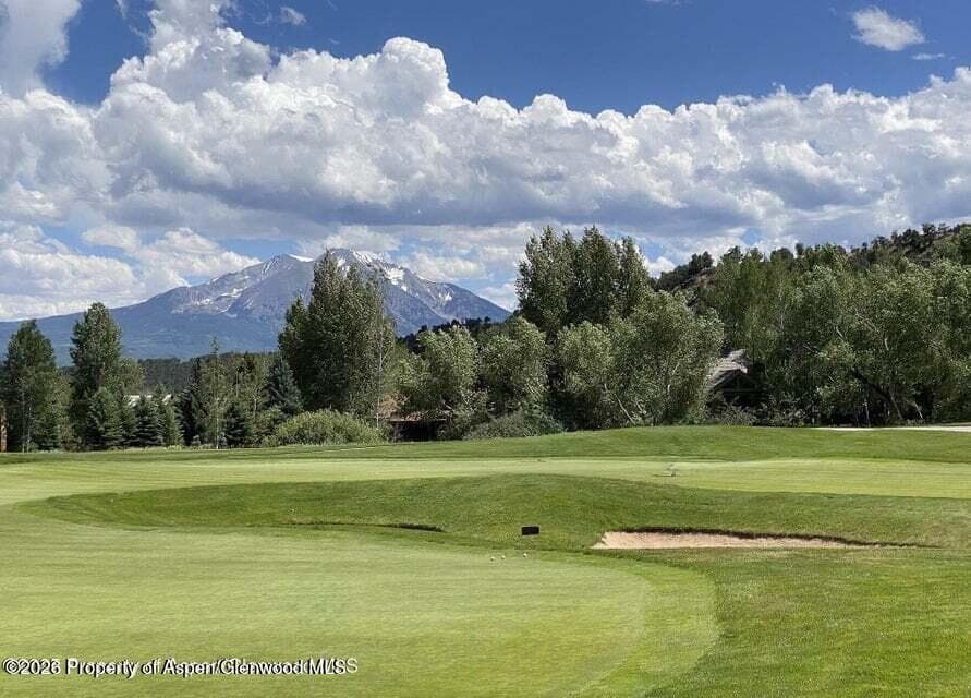 28 Spring Loop, Carbondale, CO 81623 - Photo 7