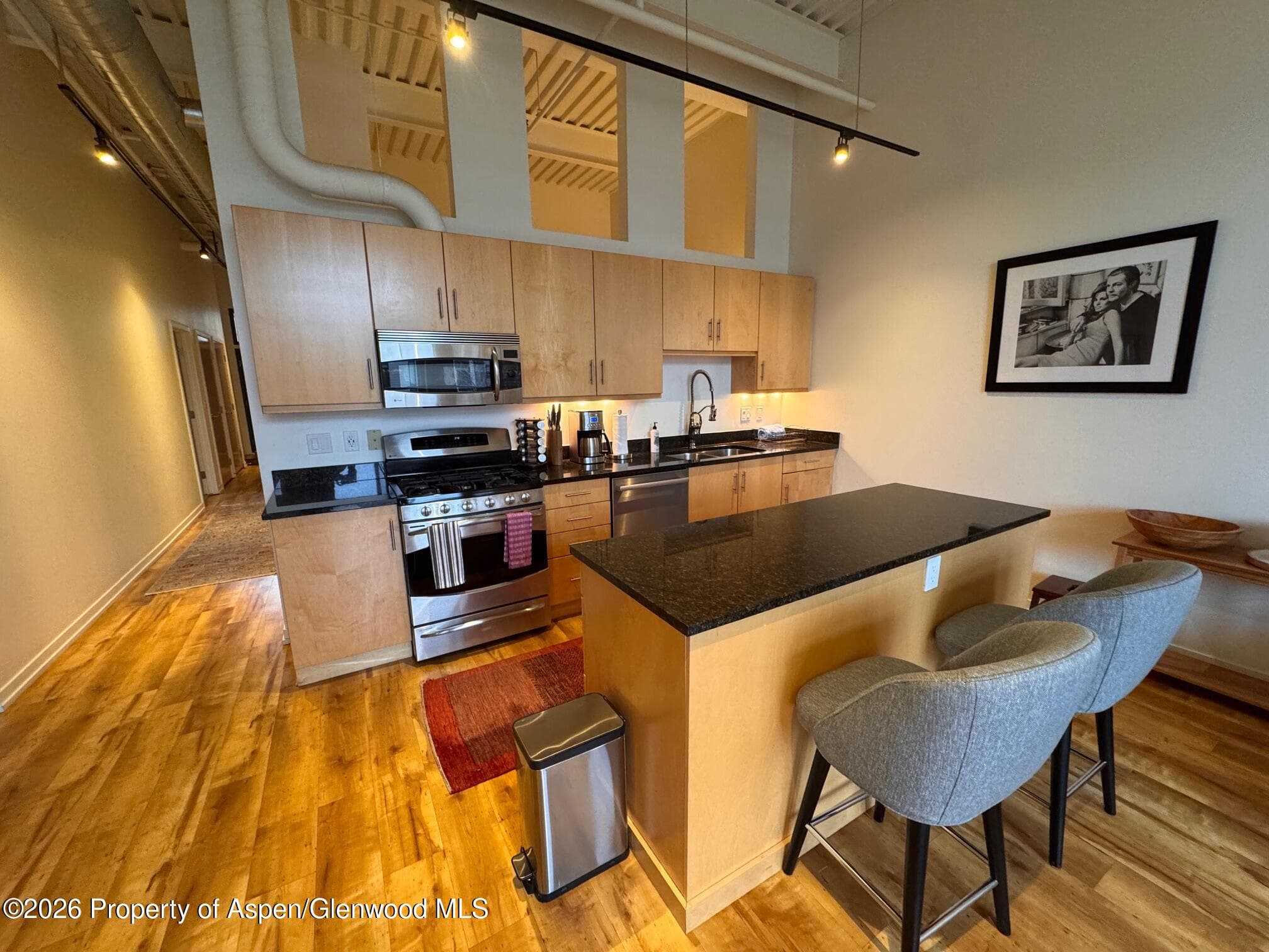 361 Robinson Street 232, Basalt, CO 81621 - Photo 1