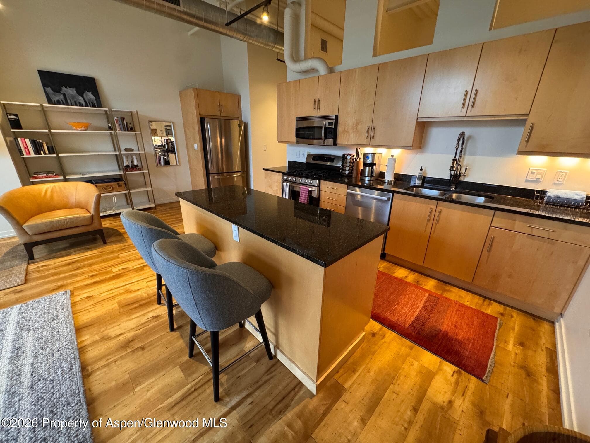 361 Robinson Street 232, Basalt, CO 81621 - Photo 2
