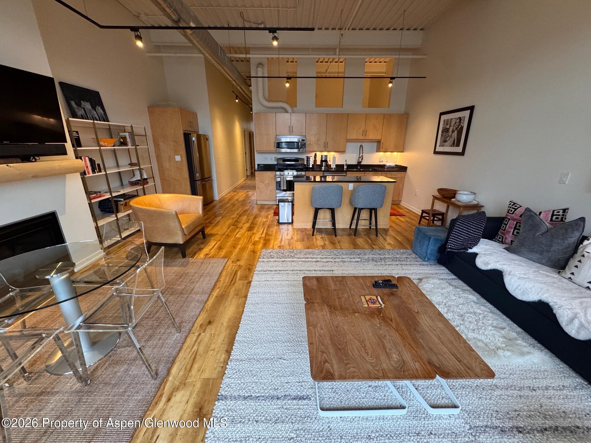 361 Robinson Street 232, Basalt, CO 81621 - Photo 4