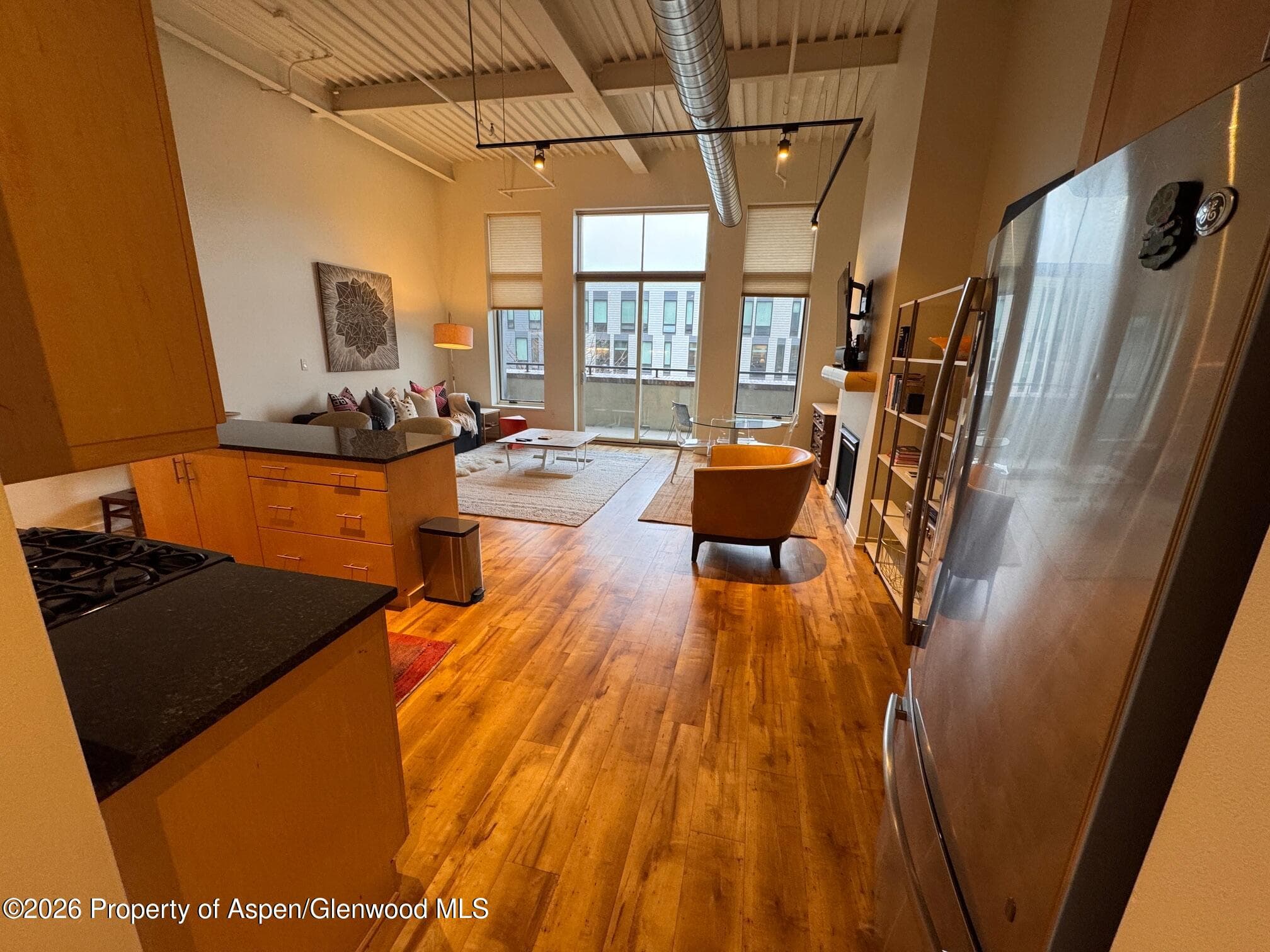 361 Robinson Street 232, Basalt, CO 81621 - Photo 6