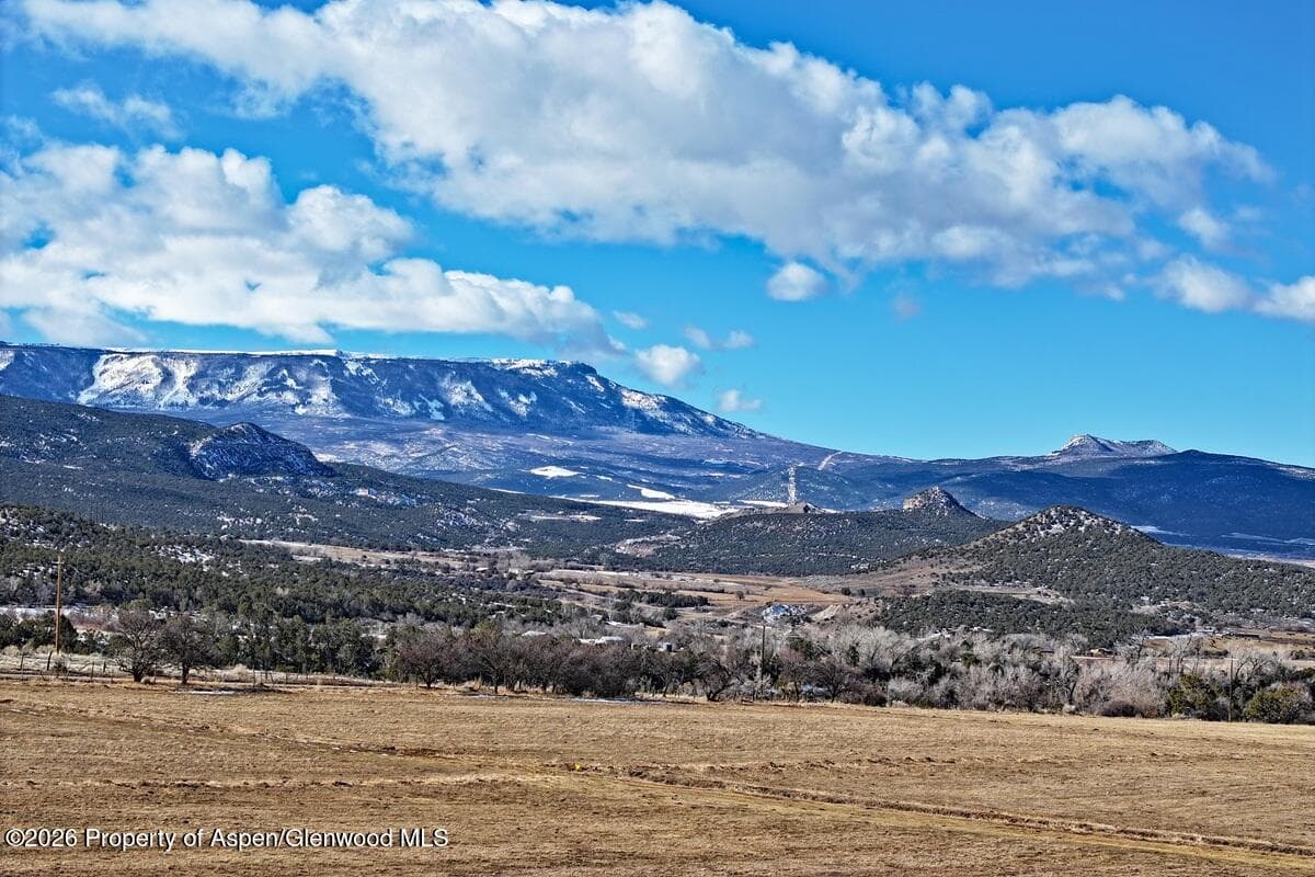 12482 54 7/10 Road, Molina, CO 81646 - Photo 16