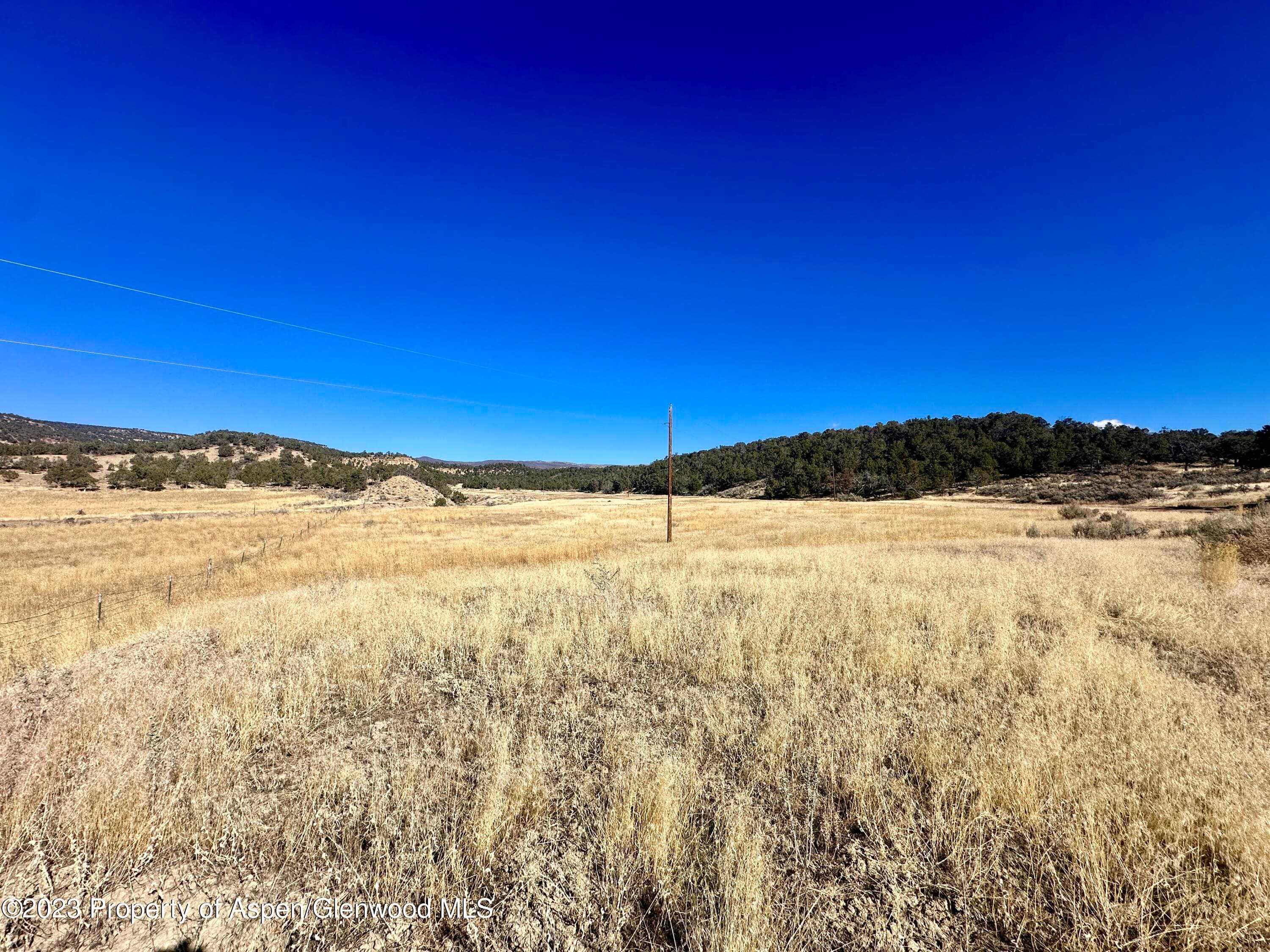 Tbd Cactus Park Road, Cedaredge, CO 81413 - Photo 3