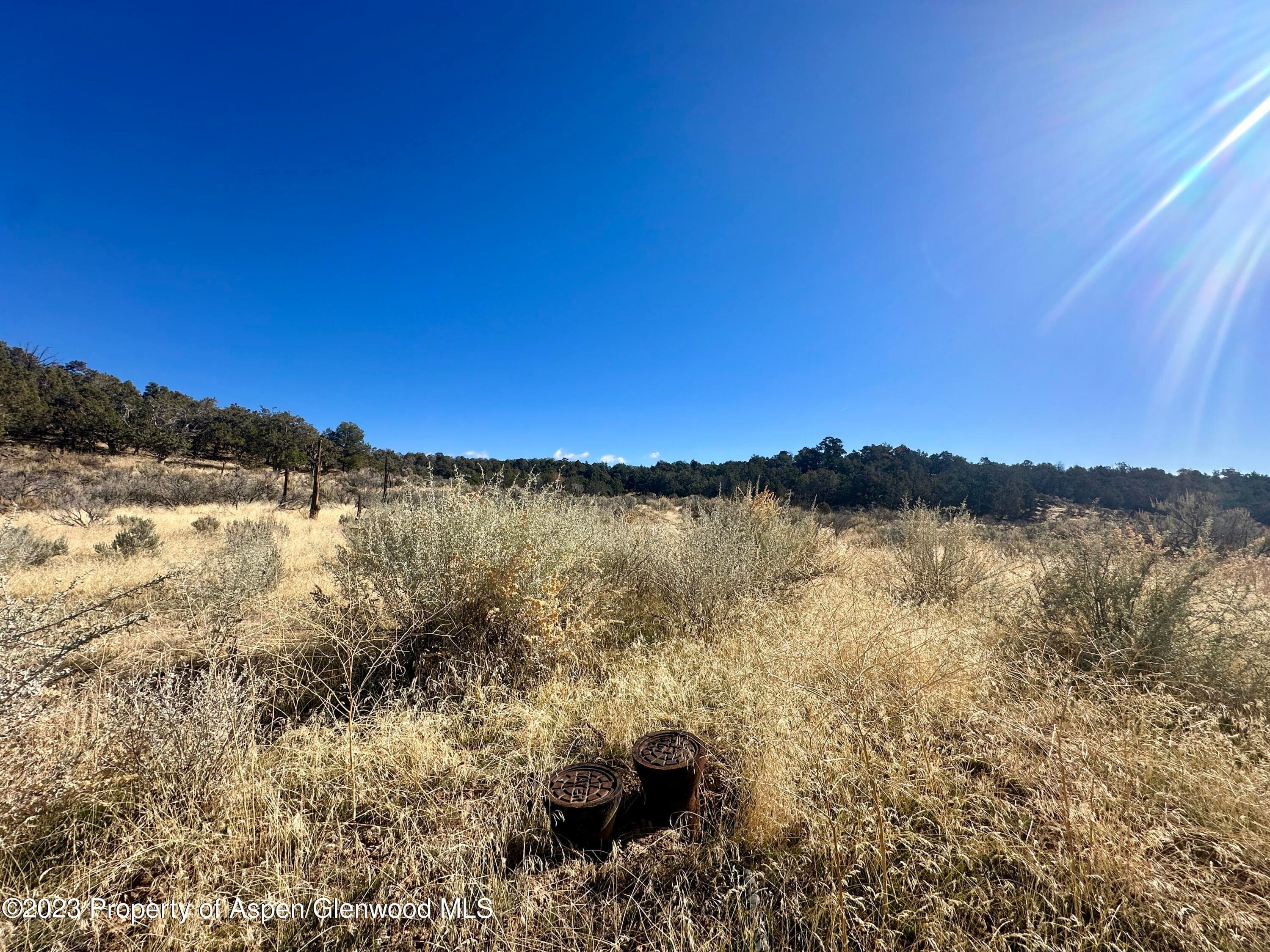 Tbd Cactus Park Road, Cedaredge, CO 81413 - Photo 4