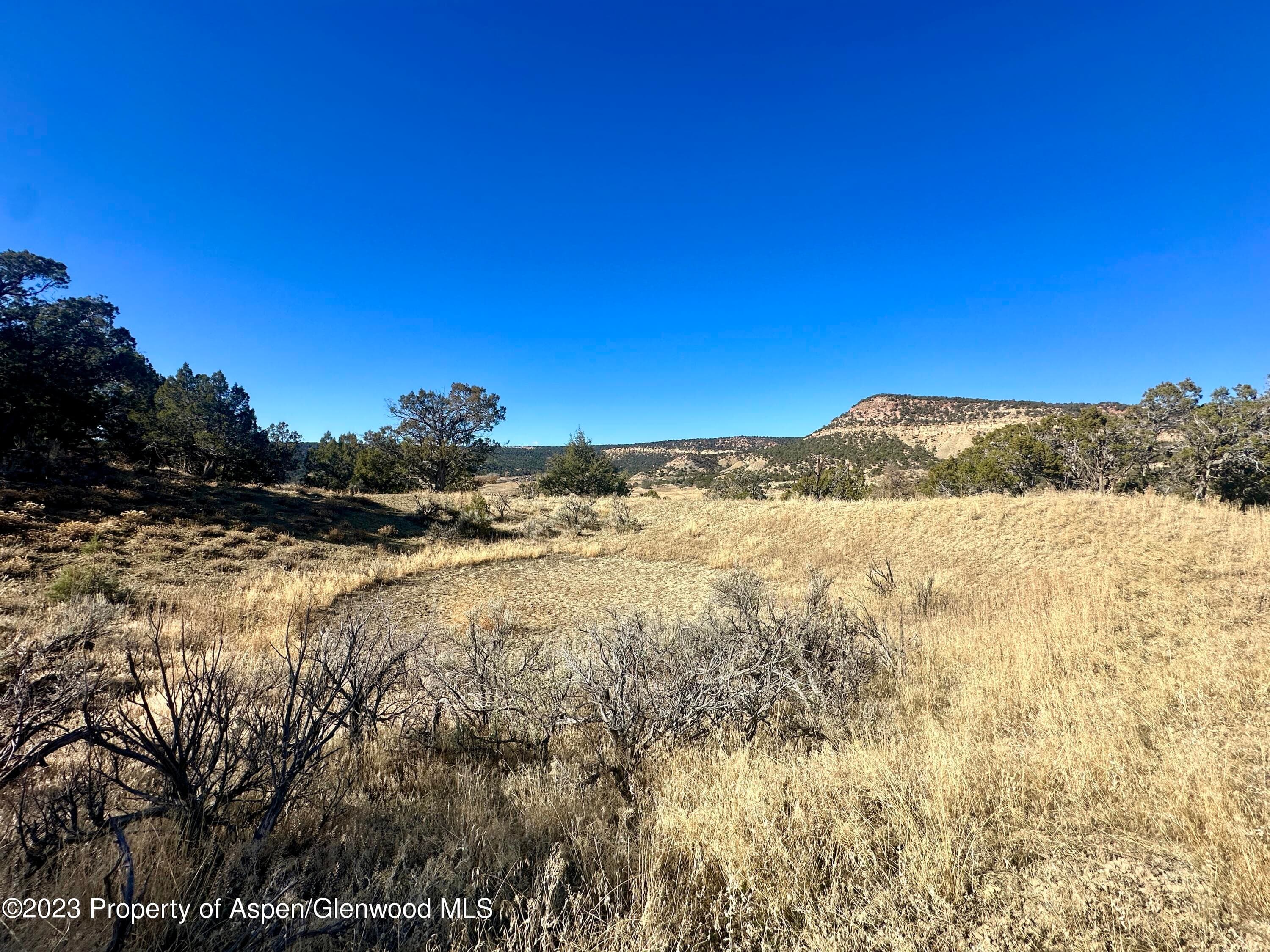 Tbd Cactus Park Road, Cedaredge, CO 81413 - Photo 6