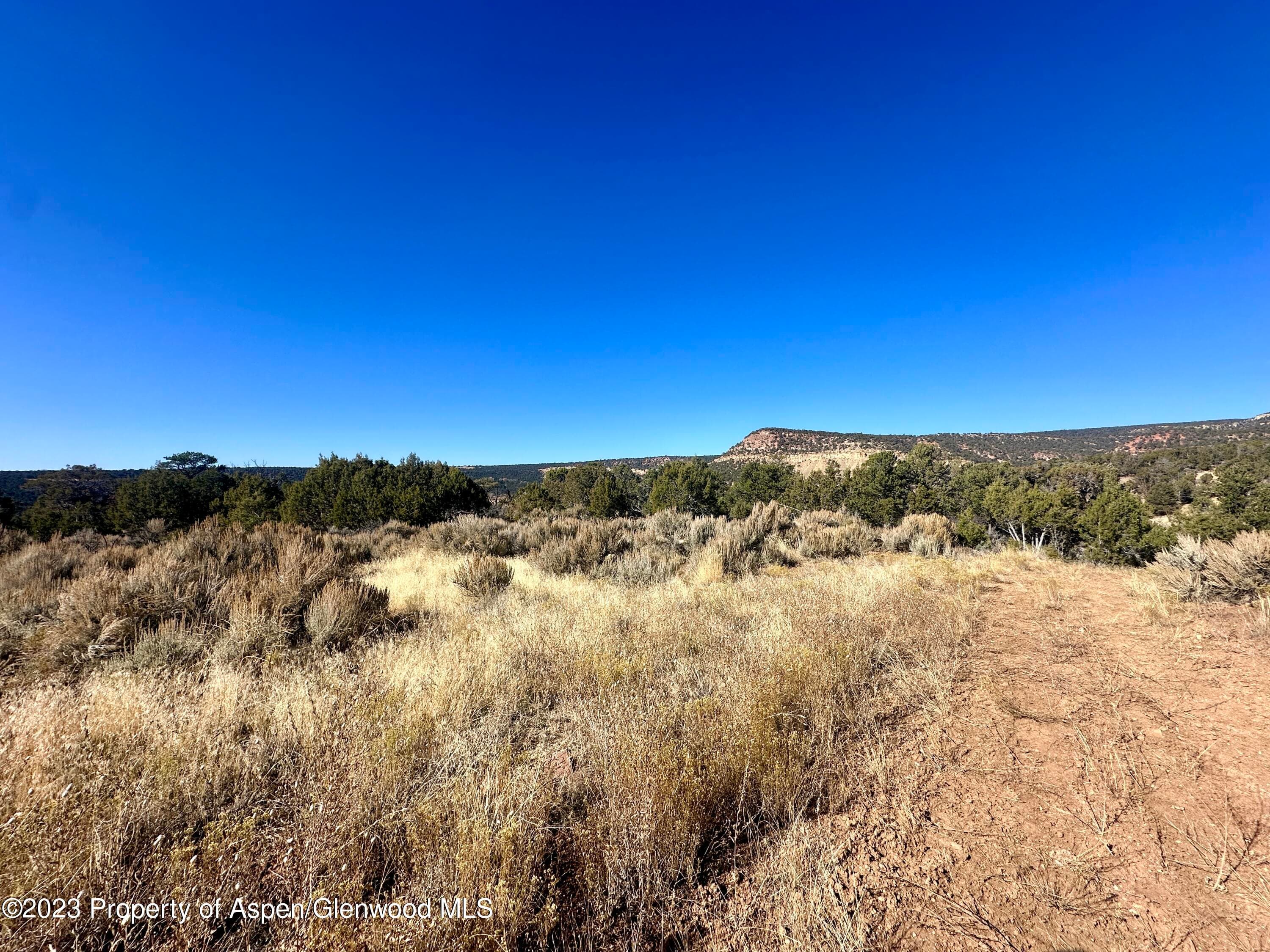 Tbd Cactus Park Road, Cedaredge, CO 81413 - Photo 8