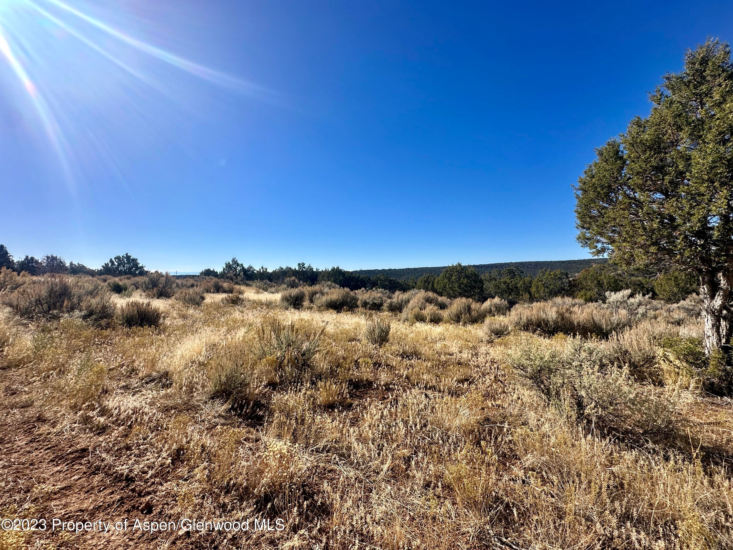 Tbd Cactus Park Road, Cedaredge, CO 81413 - Photo 9