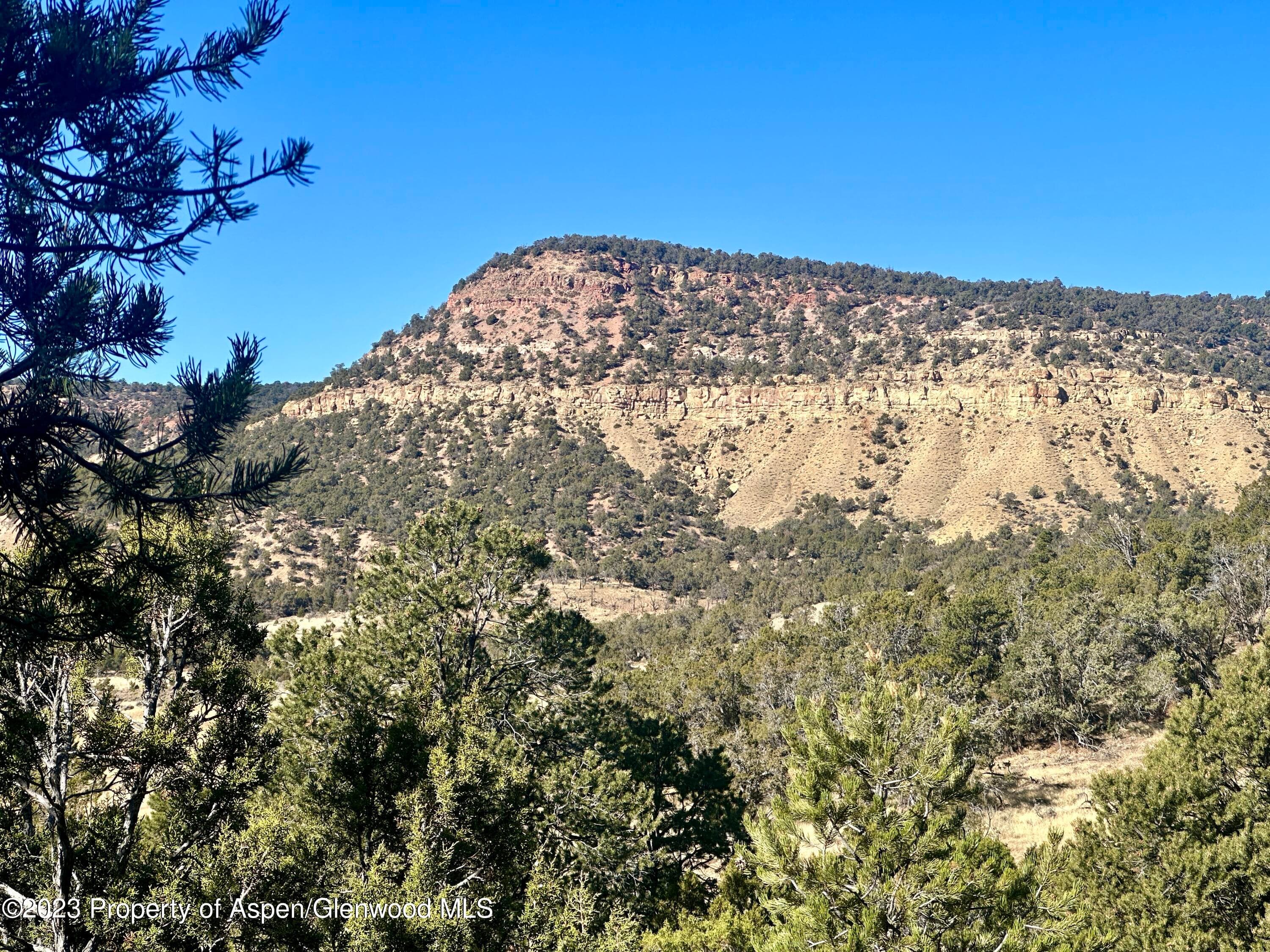 Tbd Cactus Park Road, Cedaredge, CO 81413 - Photo 11
