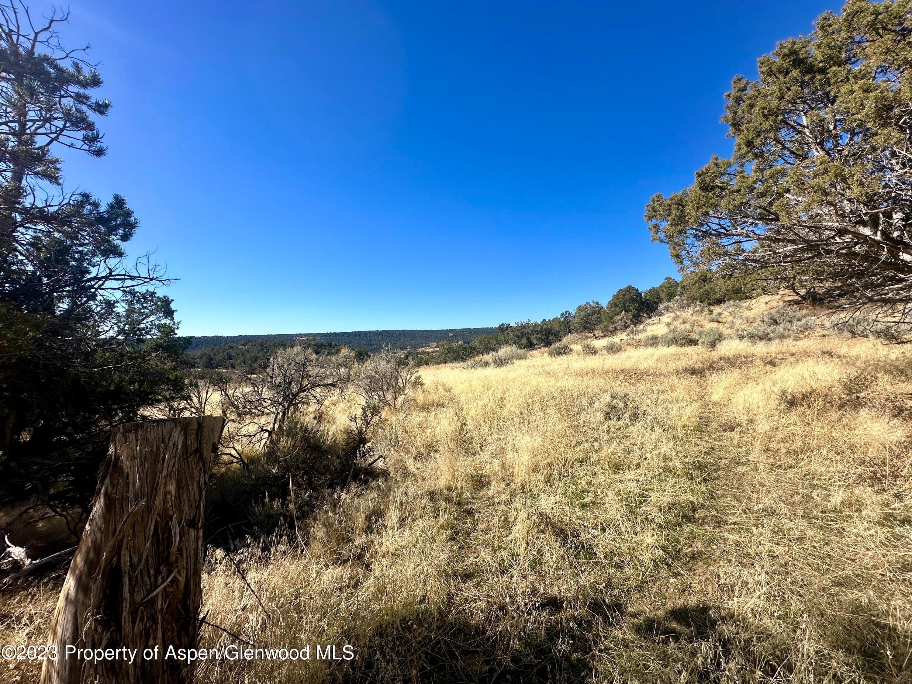 Tbd Cactus Park Road, Cedaredge, CO 81413 - Photo 12