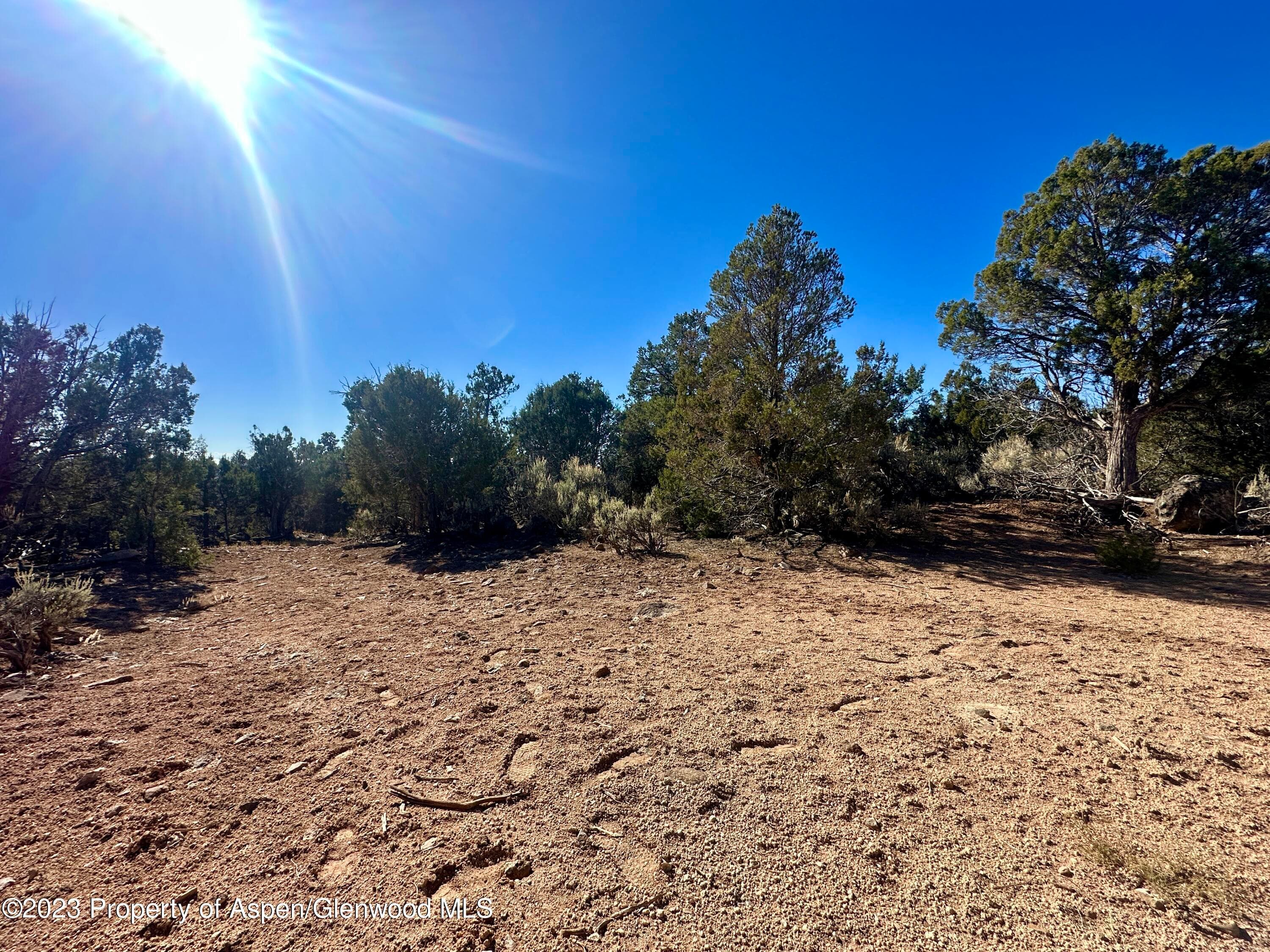 Tbd Cactus Park Road, Cedaredge, CO 81413 - Photo 14