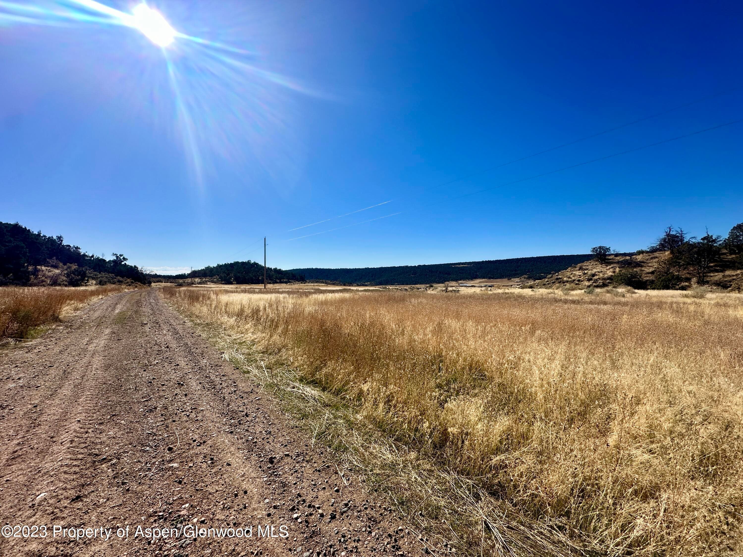 Tbd Cactus Park Road, Cedaredge, CO 81413 - Photo 15