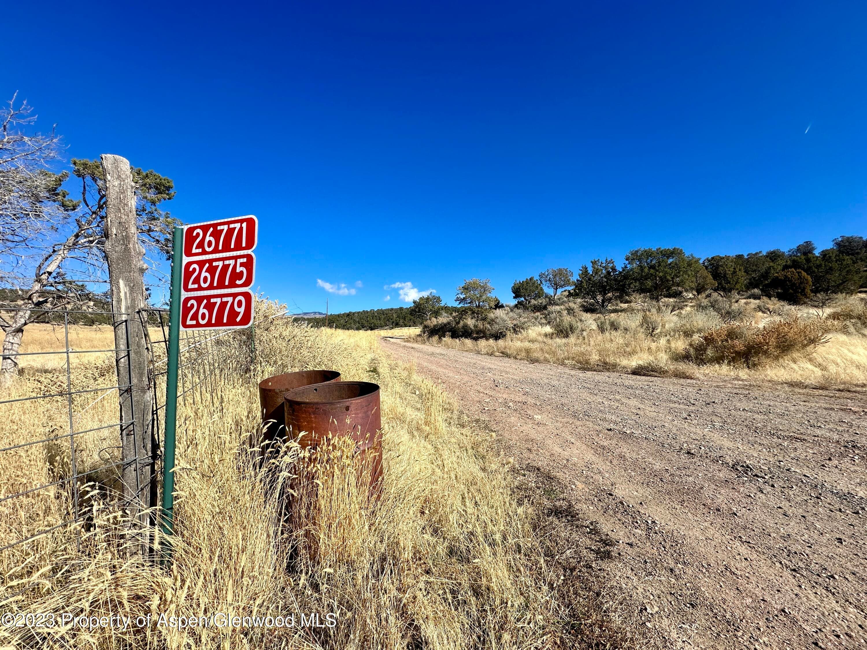 Tbd Cactus Park Road, Cedaredge, CO 81413 - Photo 16