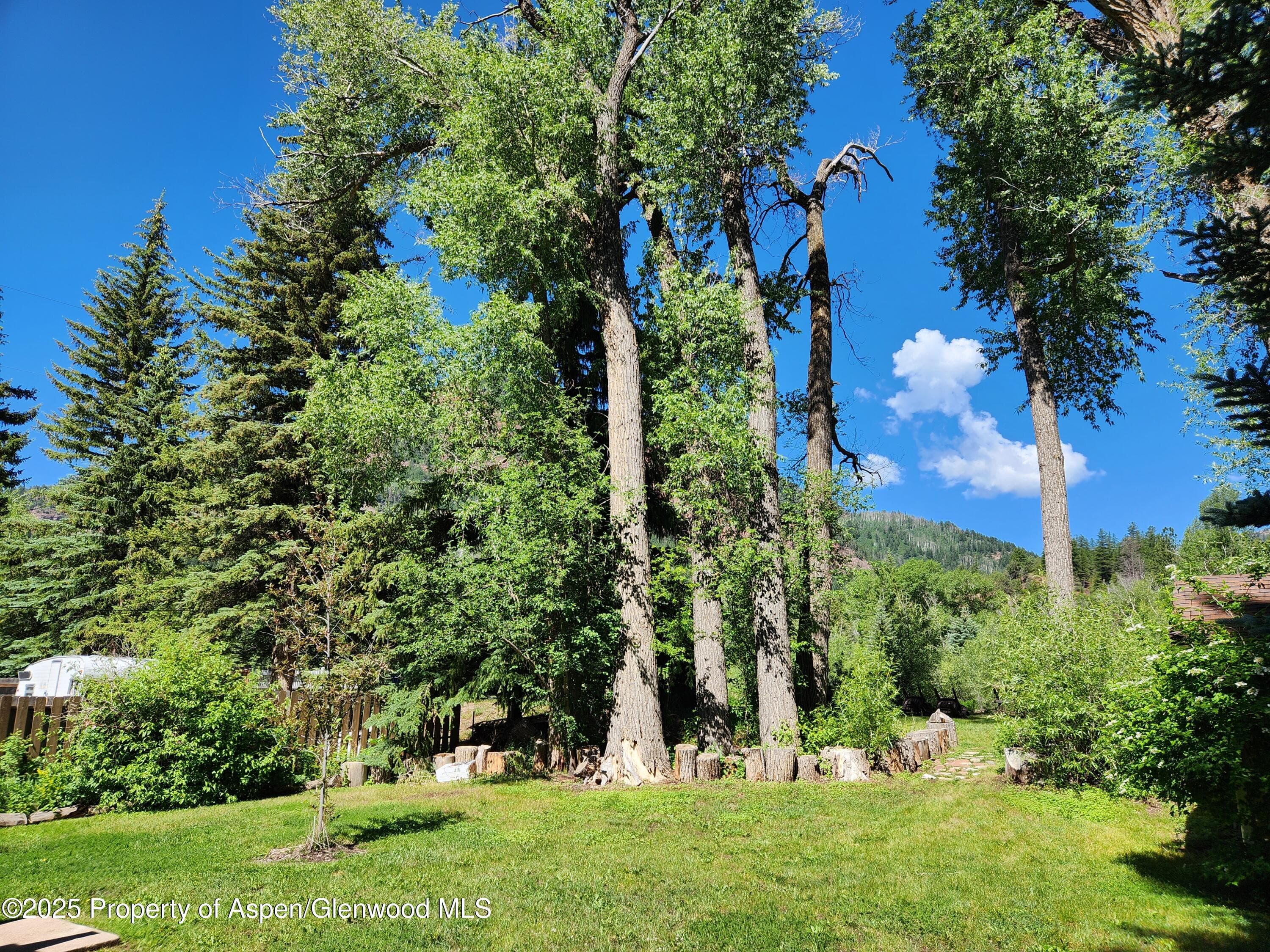 385 Redstone Boulevard Upper, Redstone, CO 81623 - Photo 19