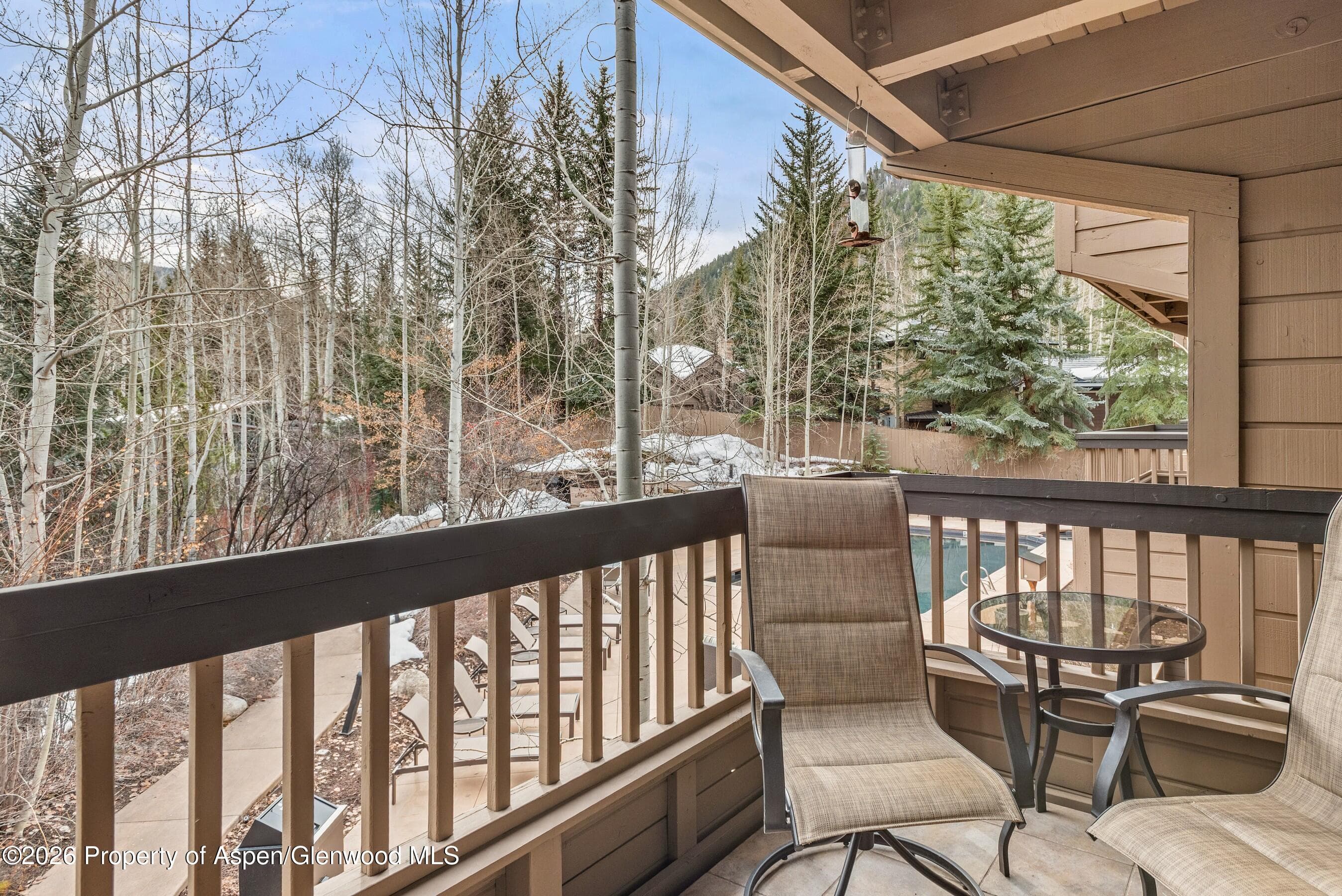 610 S West End Street G202, Aspen, CO 81611 - Photo 15