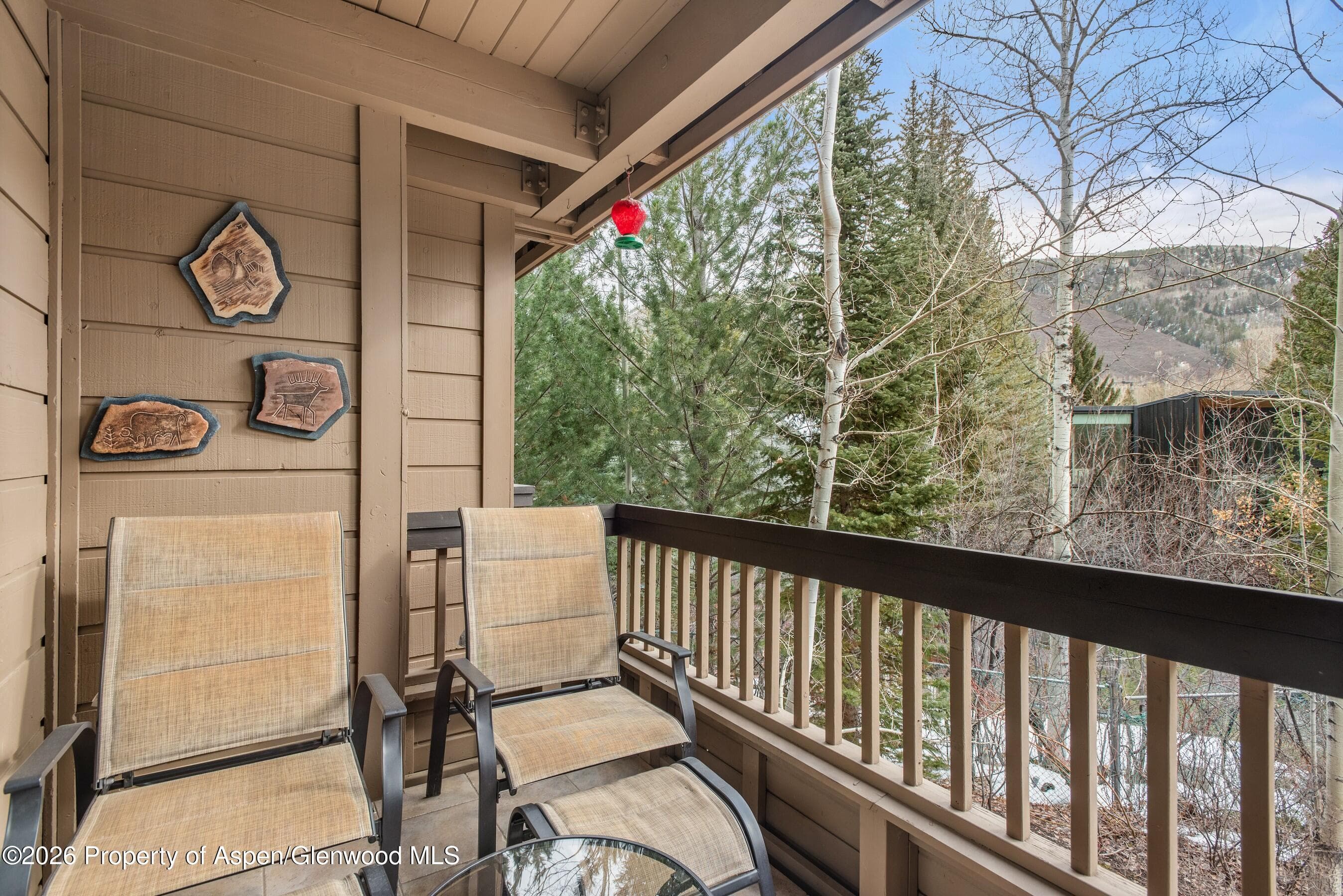 610 S West End Street G202, Aspen, CO 81611 - Photo 16