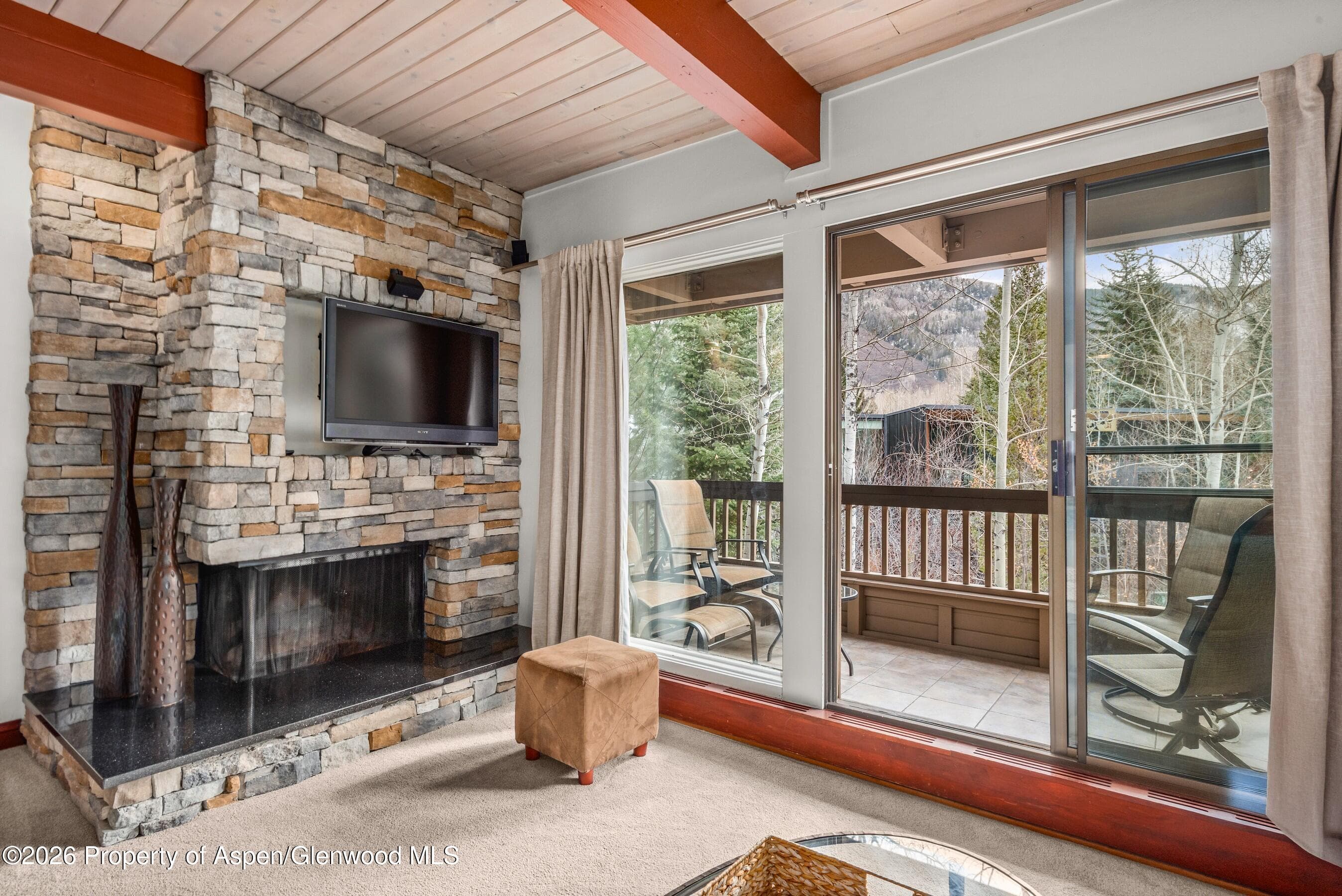 610 S West End Street G202, Aspen, CO 81611 - Photo 19