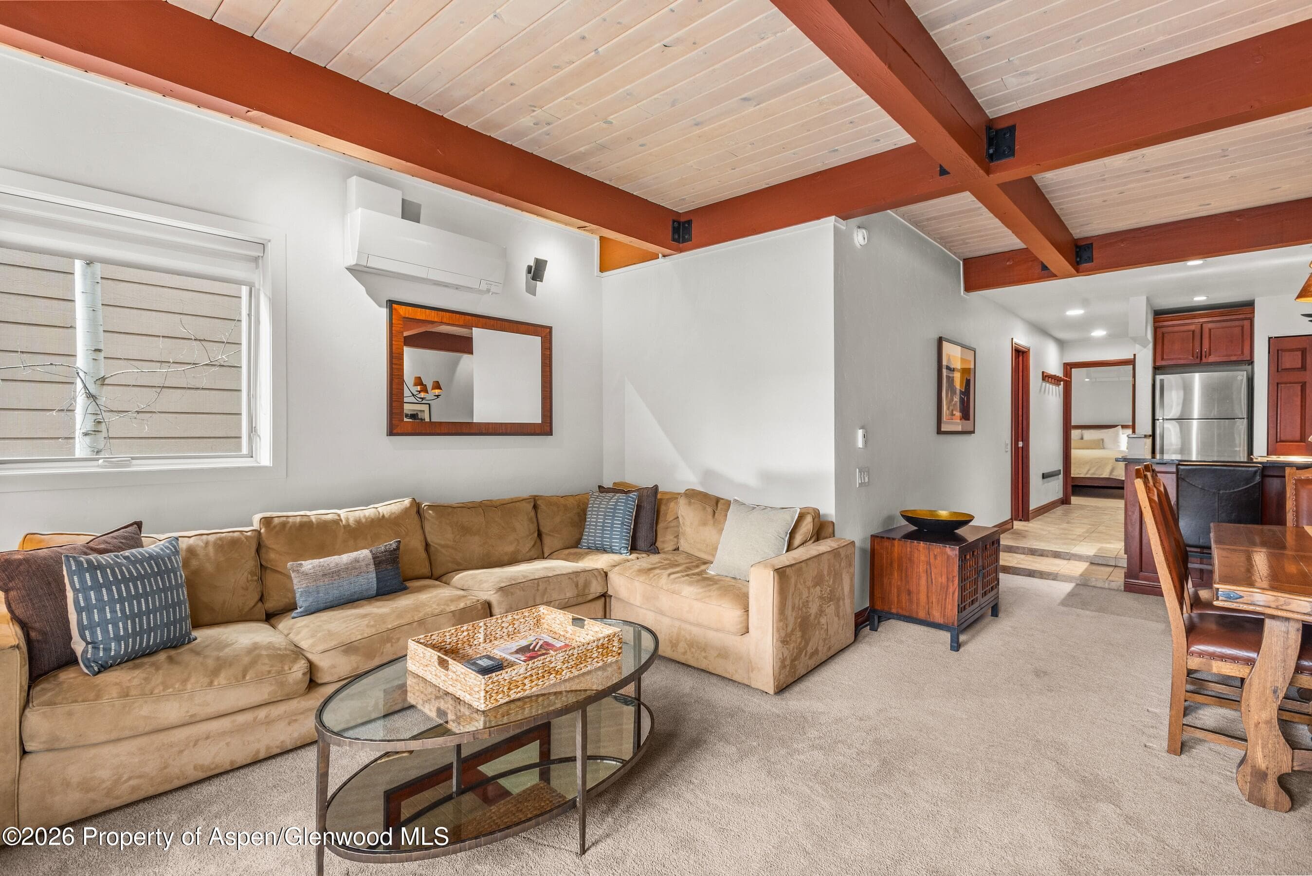 610 S West End Street G202, Aspen, CO 81611 - Photo 20