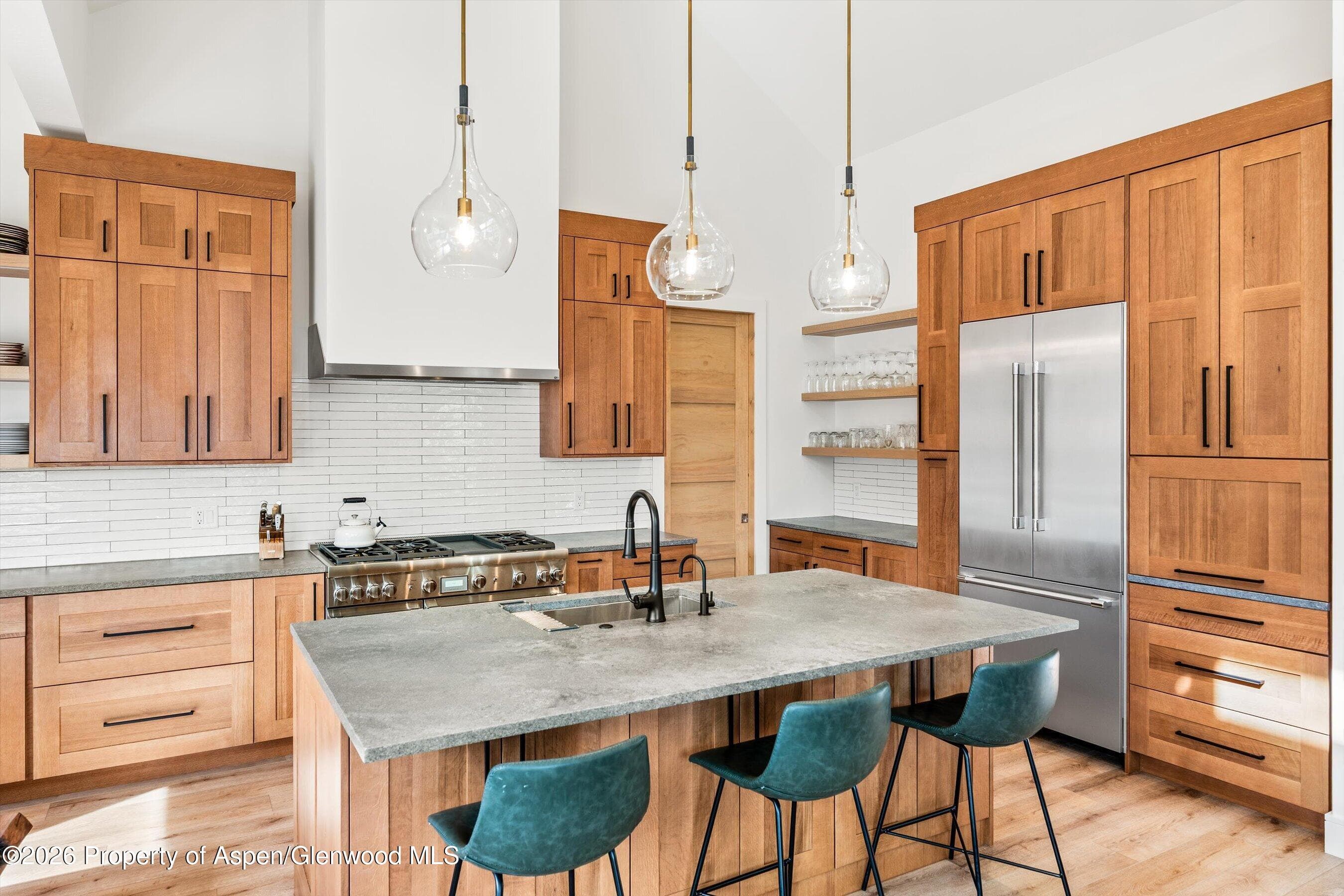 117 Bowles Drive, Carbondale, CO 81623 - Photo 9
