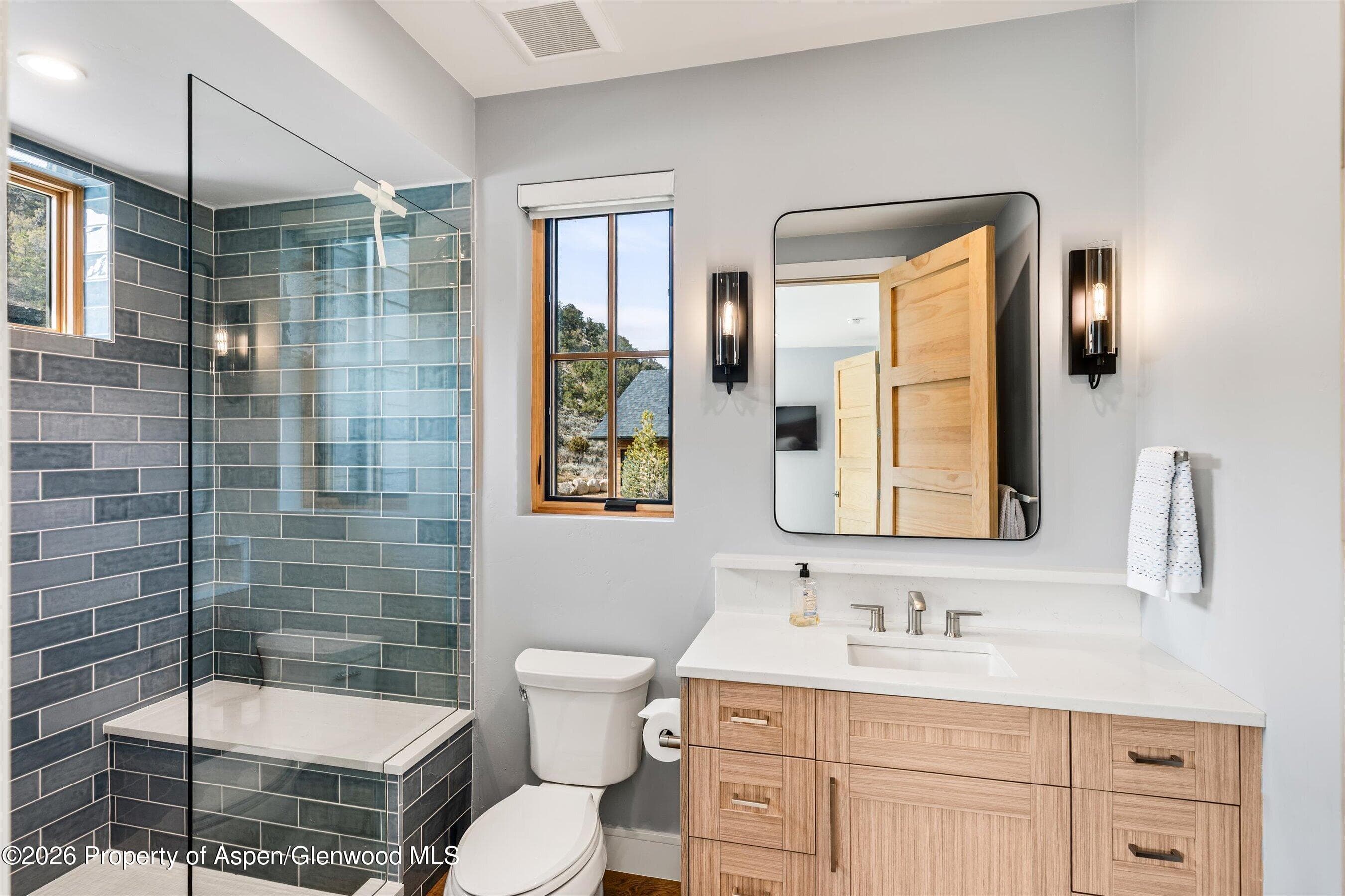 117 Bowles Drive, Carbondale, CO 81623 - Photo 19