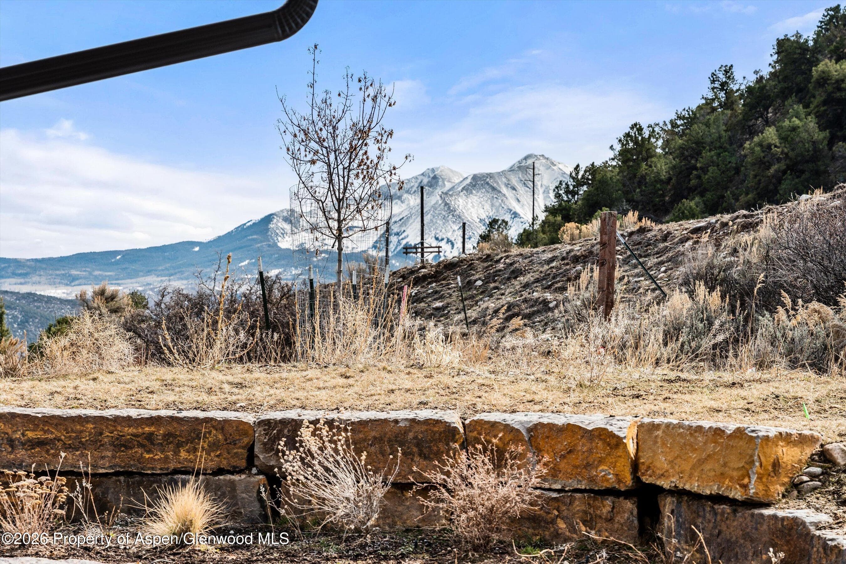117 Bowles Drive, Carbondale, CO 81623 - Photo 36