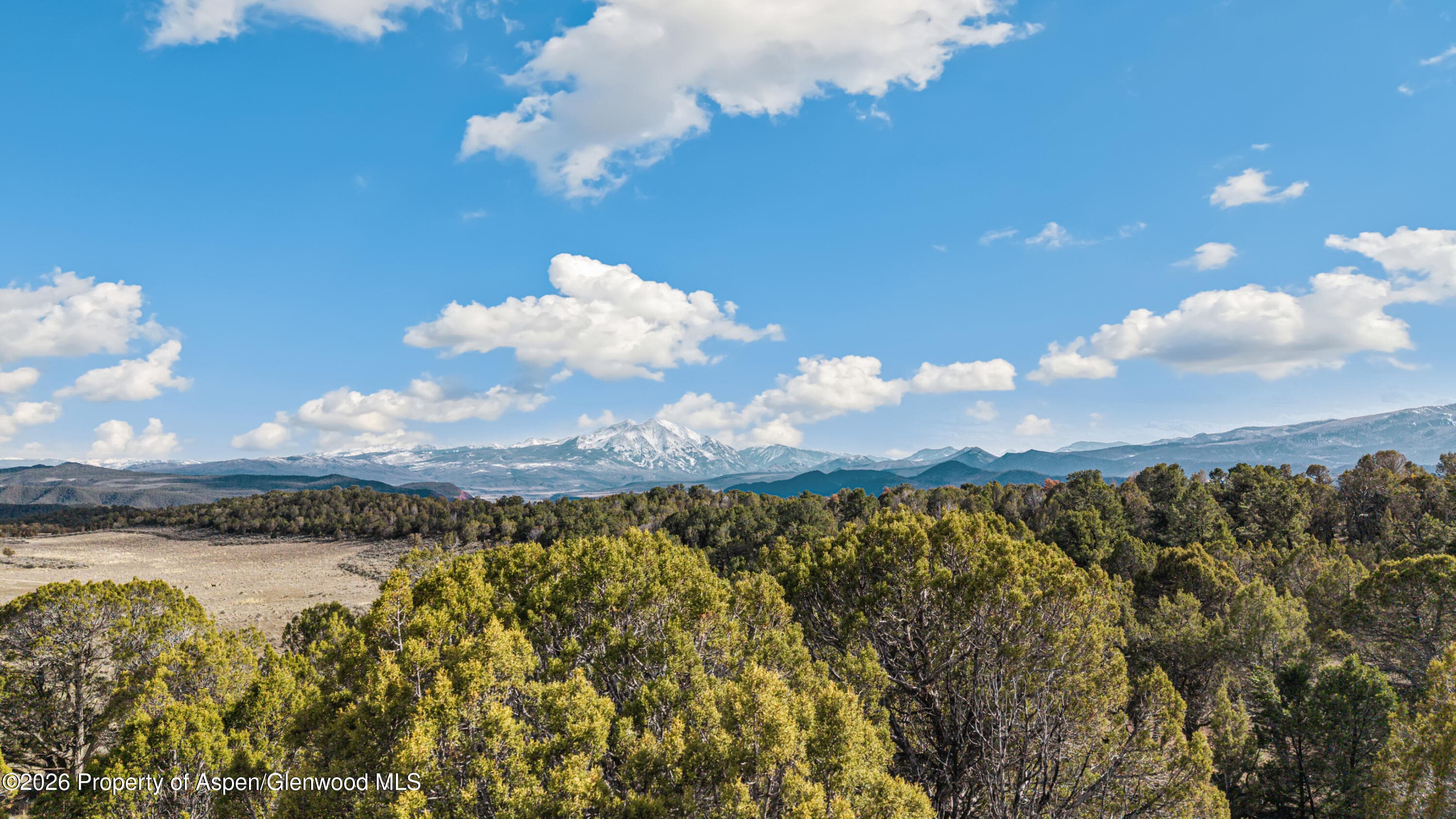 3376 Elk Springs Drive, Glenwood Springs, CO 81601 - Photo 10