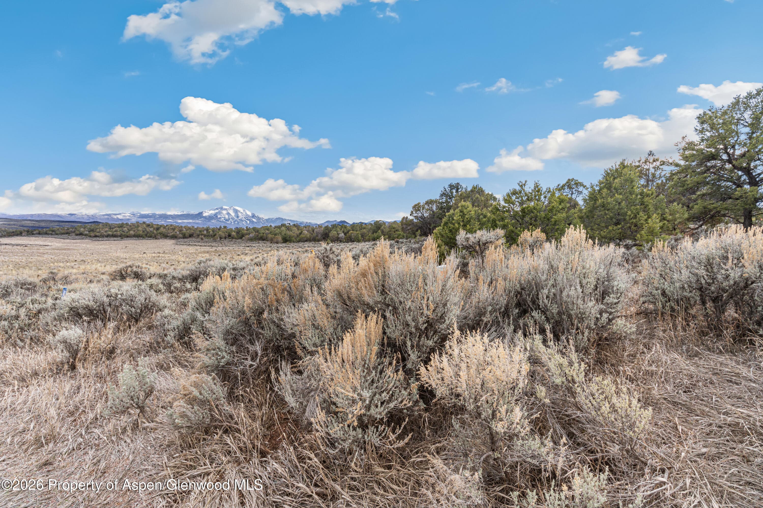 3376 Elk Springs Drive, Glenwood Springs, CO 81601 - Photo 15