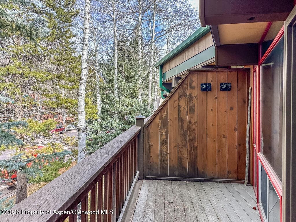 803 E Durant Avenue 8, Aspen, CO 81611 - Photo 25