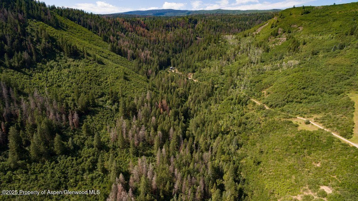 Tbd County Road 117, Glenwood Springs, CO 81601 - Photo 15