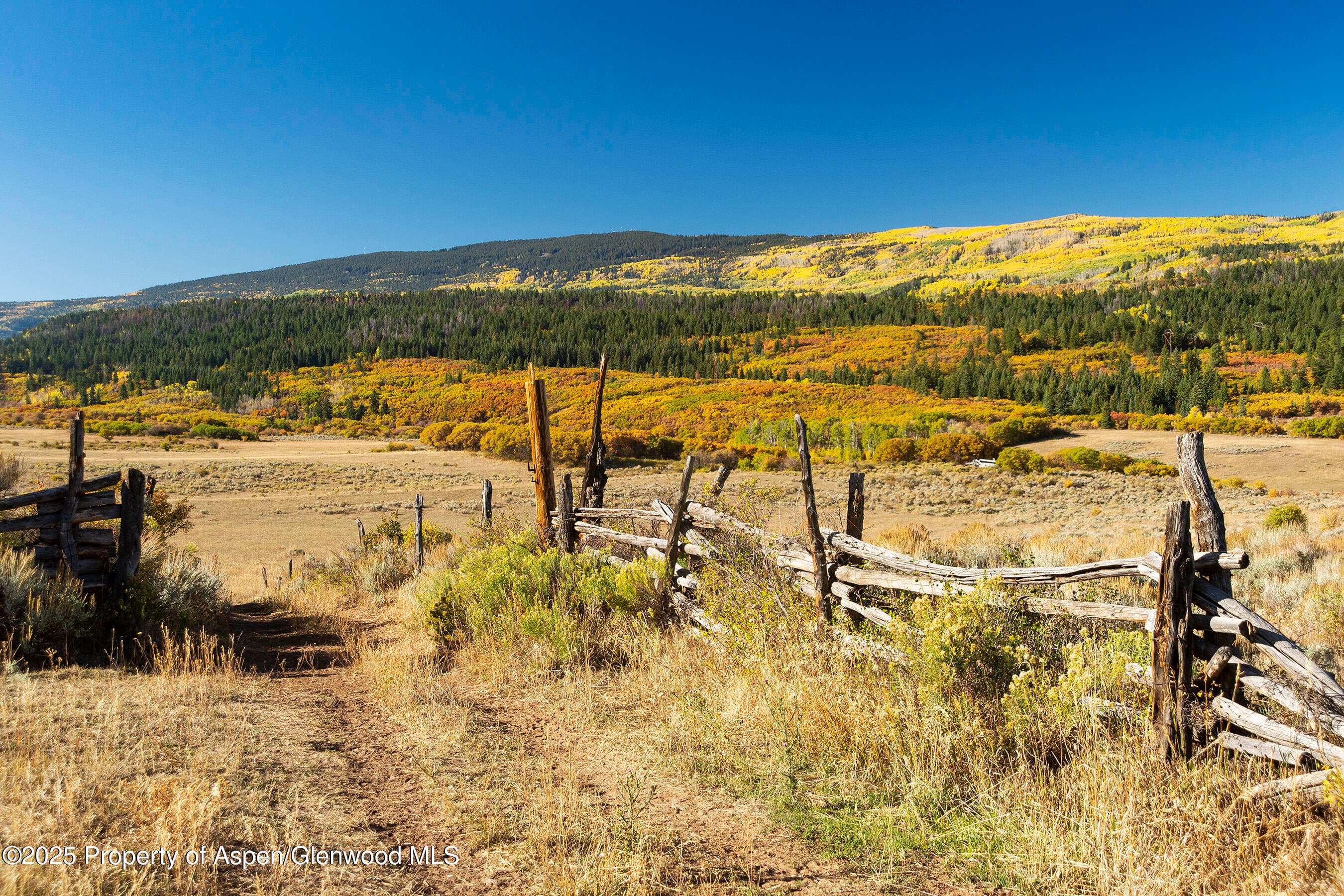 Tbd County Road 117, Glenwood Springs, CO 81601 - Photo 29