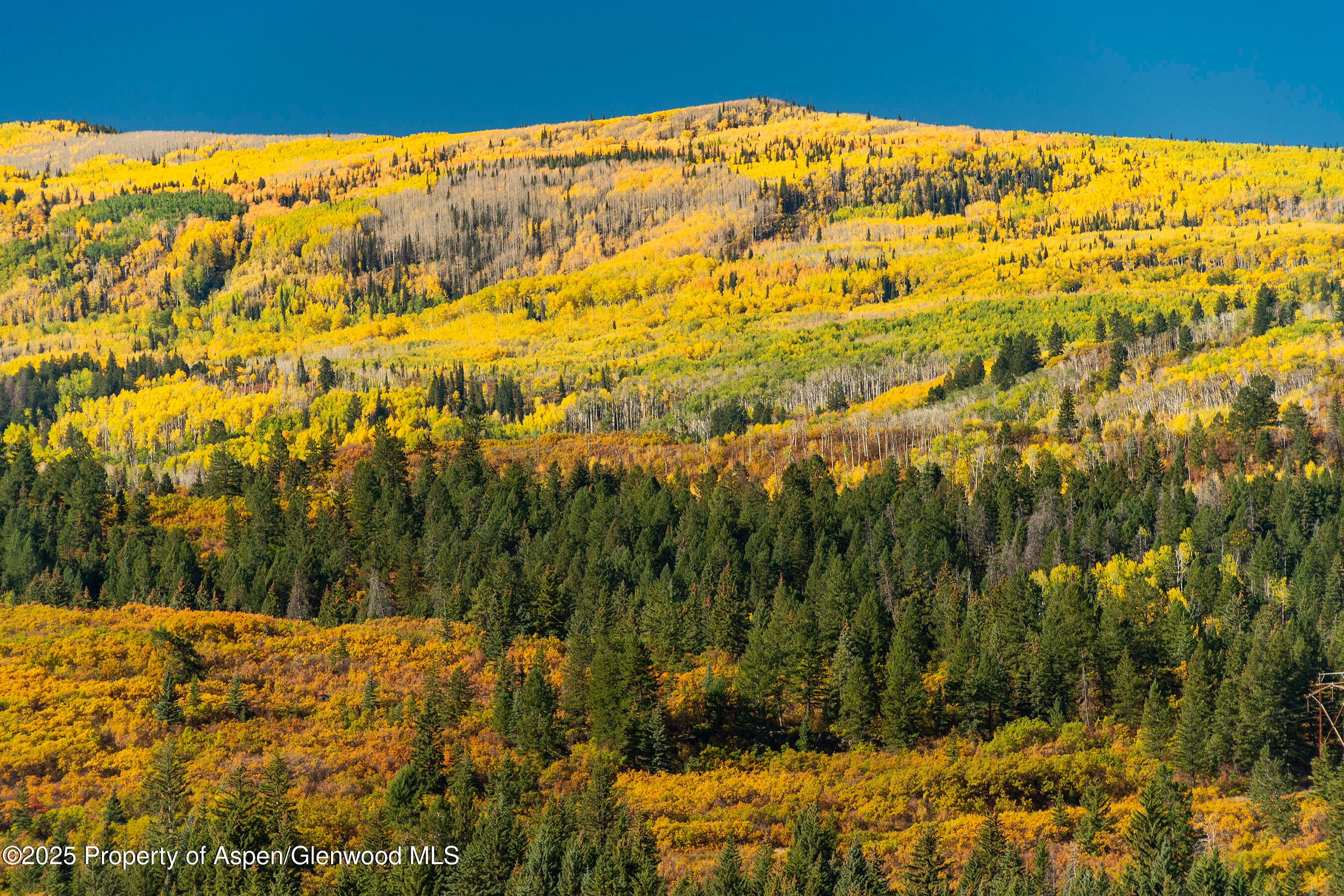 Tbd County Road 117, Glenwood Springs, CO 81601 - Photo 34
