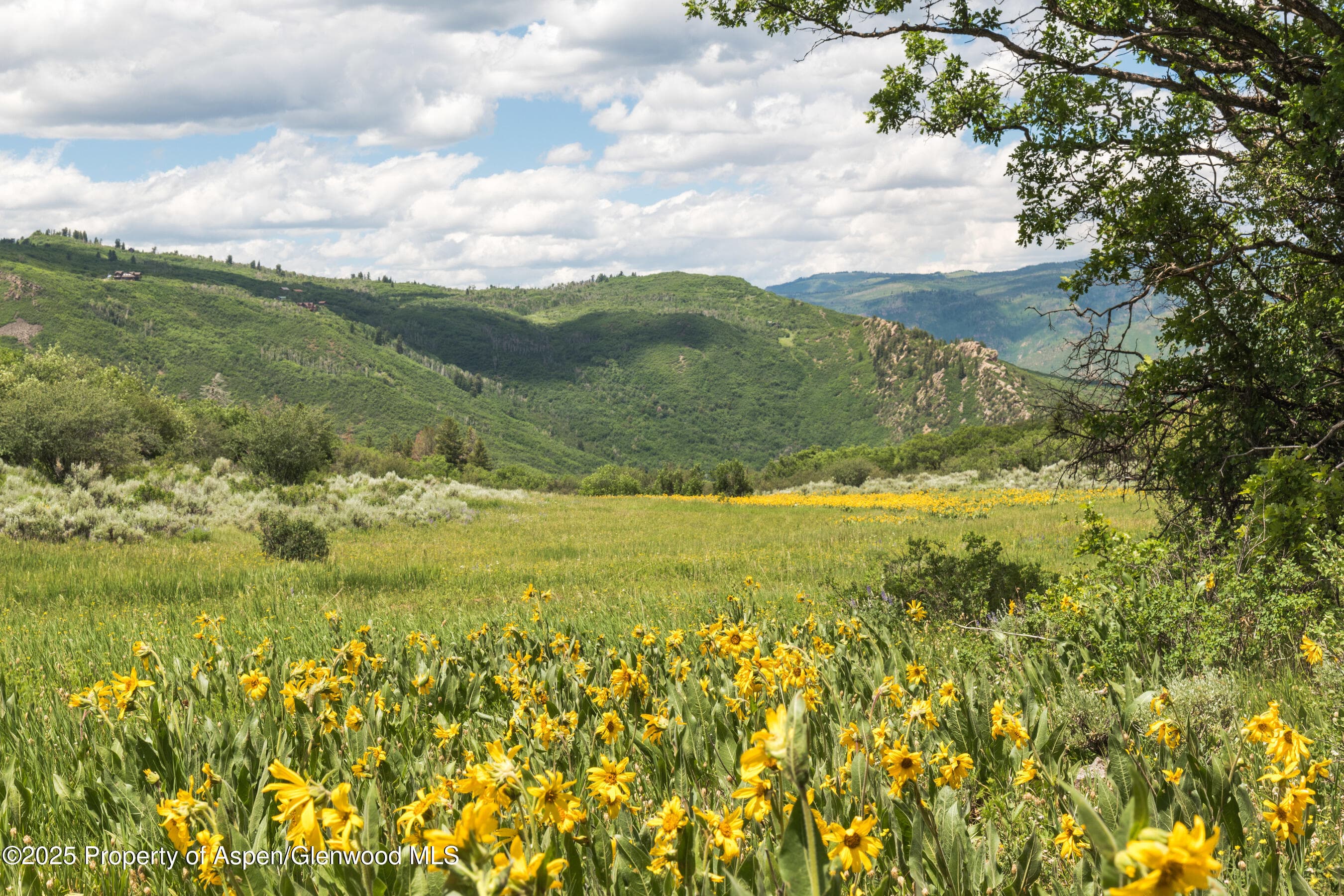 Tbd County Road 117, Glenwood Springs, CO 81601 - Photo 47