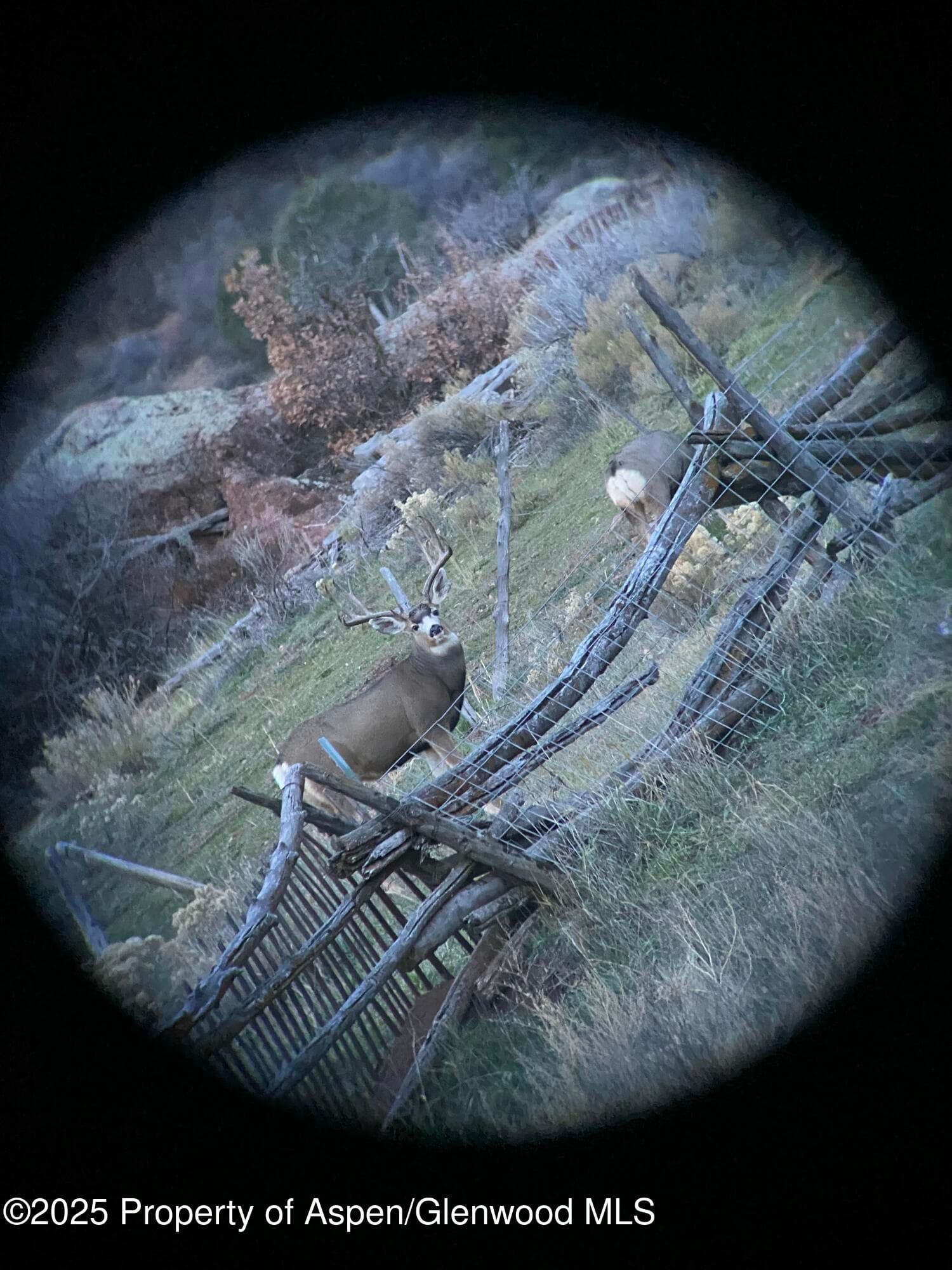 Tbd County Road 117, Glenwood Springs, CO 81601 - Photo 70