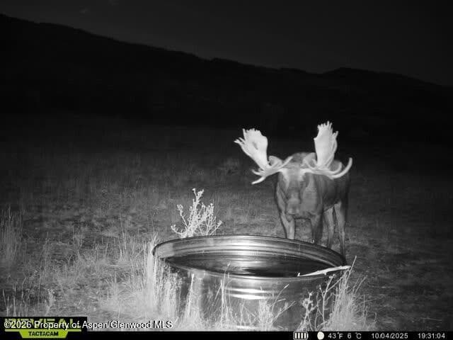 Tbd County Road 117, Glenwood Springs, CO 81601 - Photo 71