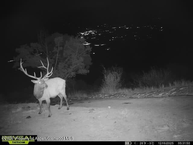Tbd County Road 117, Glenwood Springs, CO 81601 - Photo 75