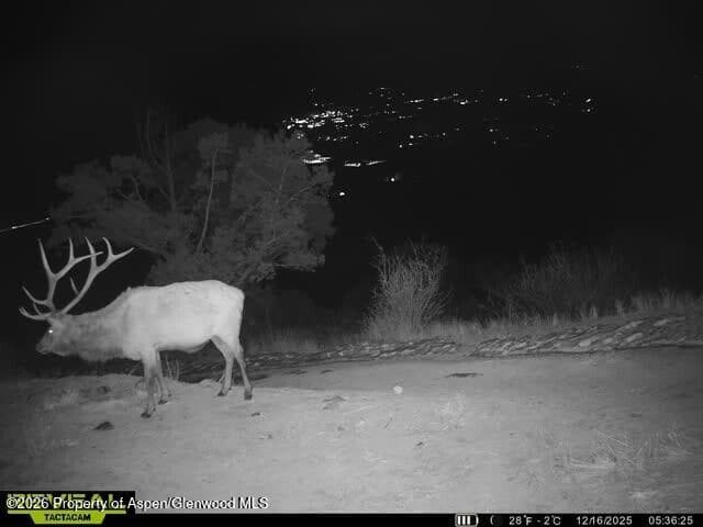 Tbd County Road 117, Glenwood Springs, CO 81601 - Photo 76