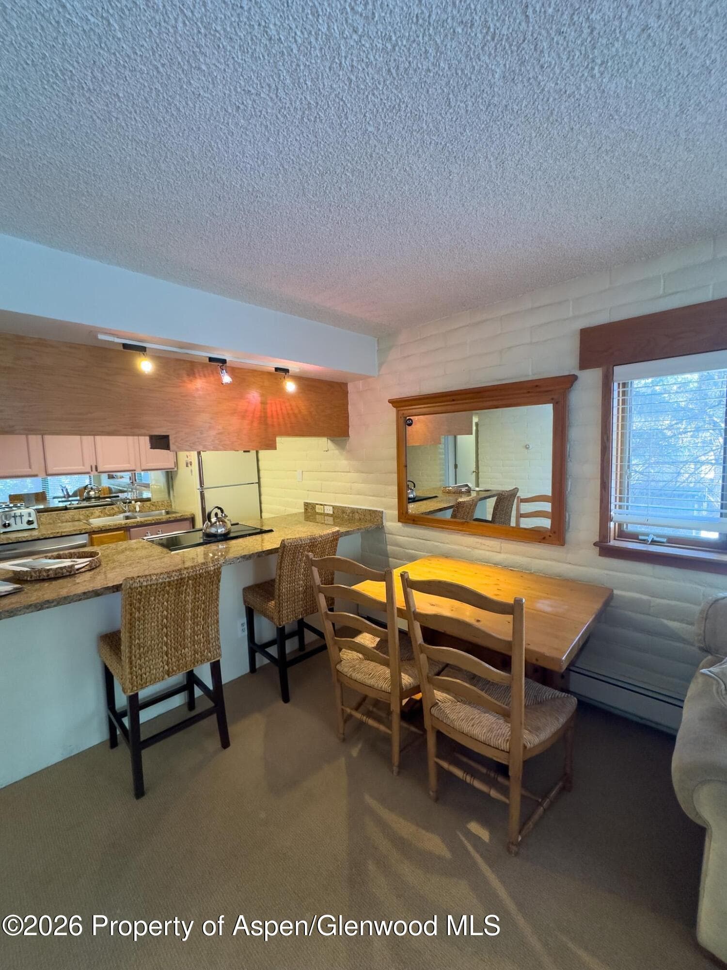 212 Vine Street 212, Aspen, CO 81611