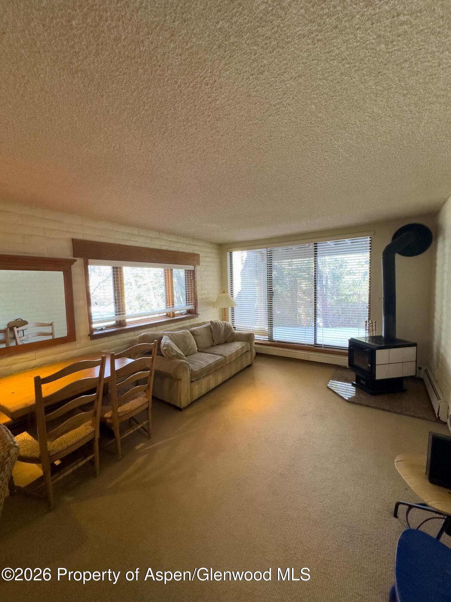 212 Vine Street 212, Aspen, CO 81611 - Photo 4